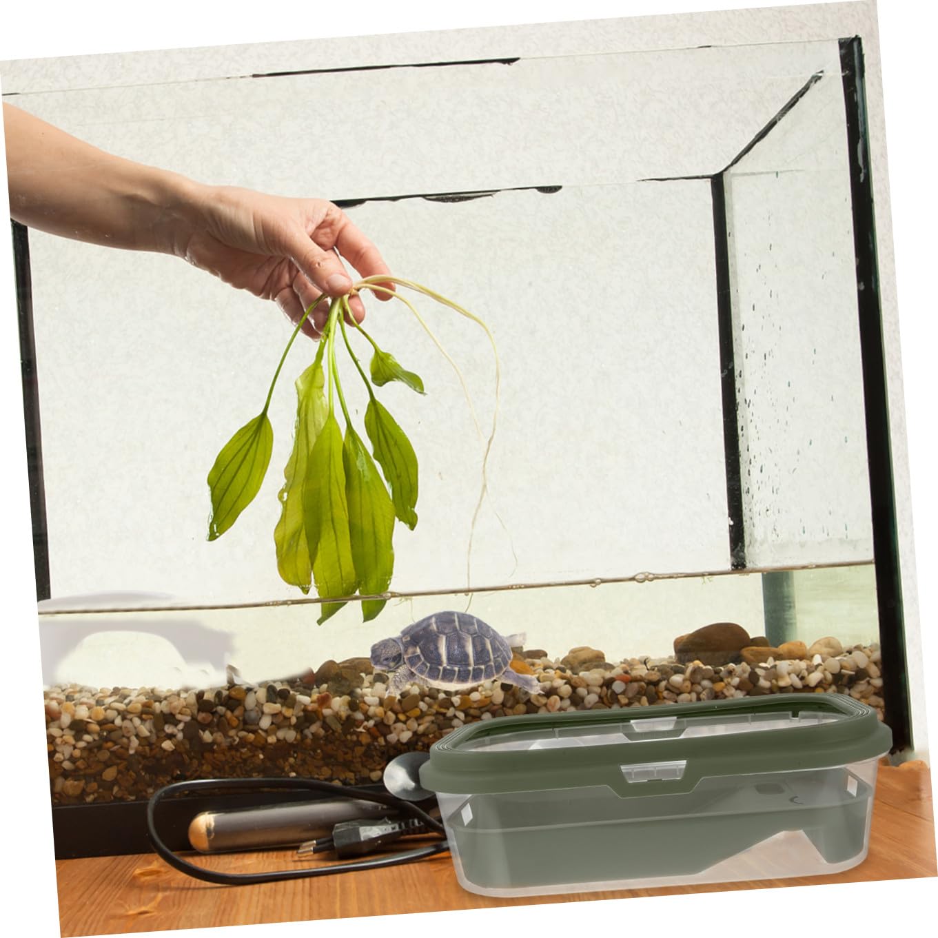 Aquarium pour Tortue en Plastique Vert avec Terrasse et Rampe | Boîte D’élevage, Dispositif de Changement D’eau, Nettoyage Facile, Adapté au Lézard la Tortue
