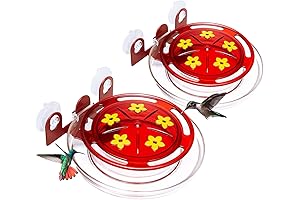 Kingsyard Window Hummingbird Feeder with Ant Moat and Strong Suction