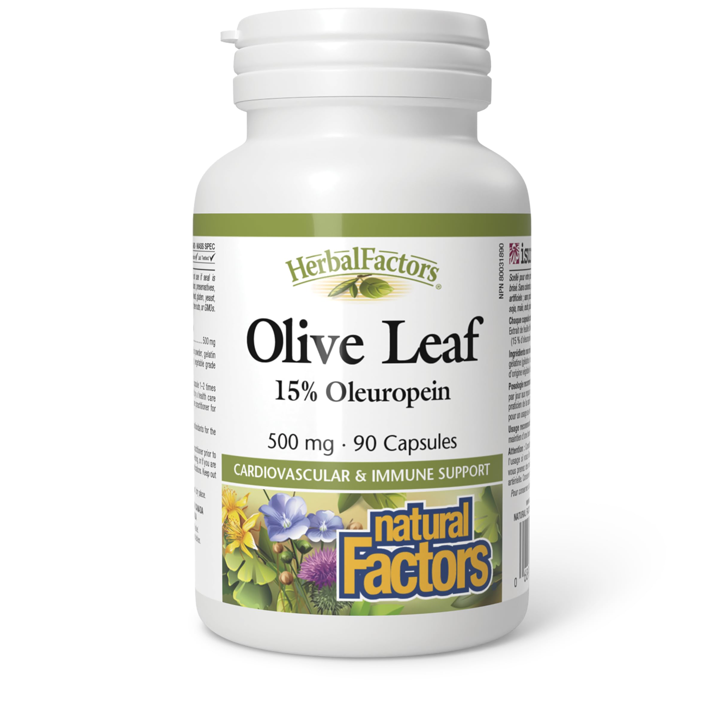 HerbalFactors by Natural Factors, Olive Leaf 500 mg, Natural Wellness Formula, 90 Capsules