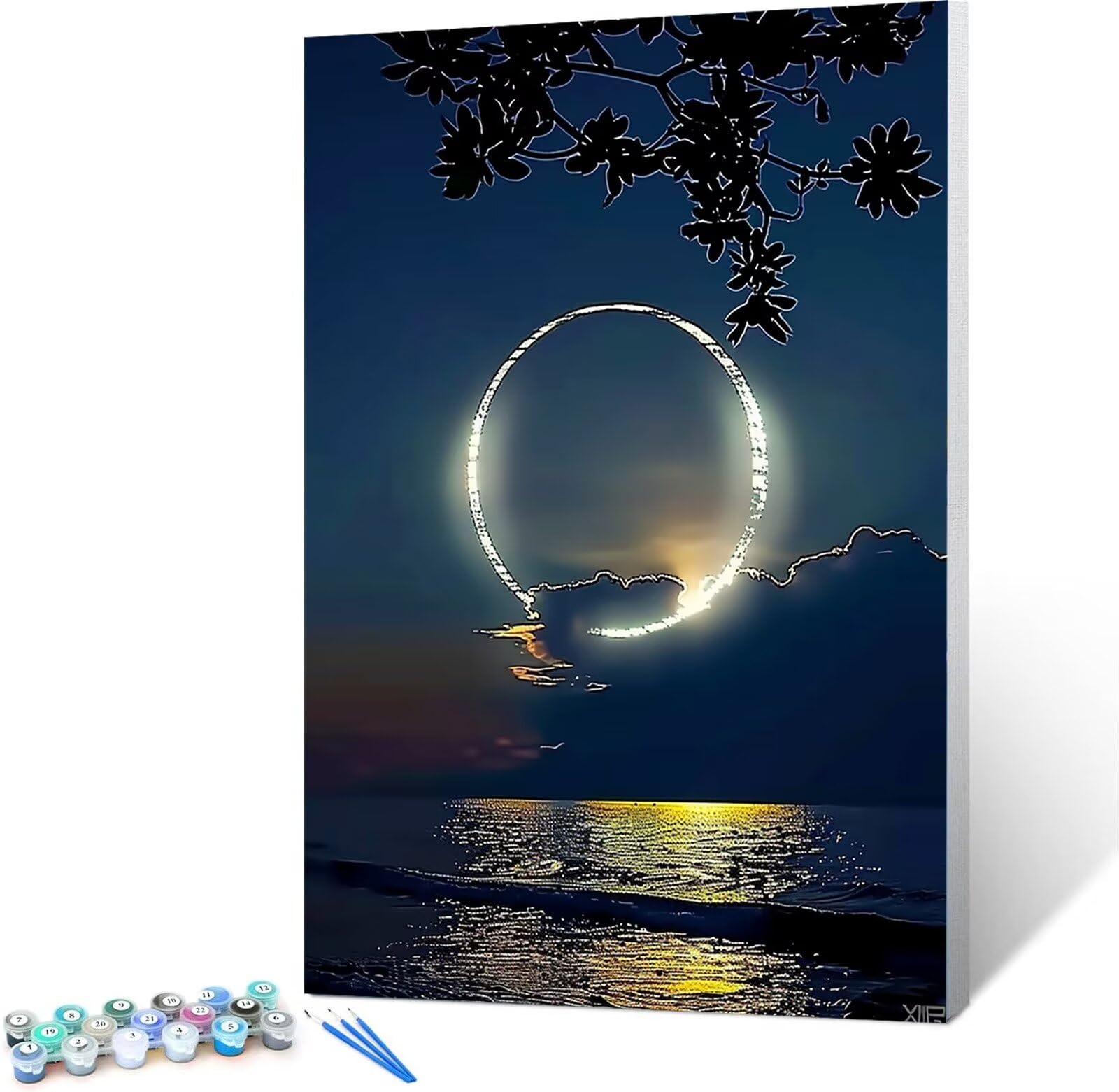 Peepezo Pintar por Números Niños Adultos Principiantes, Pintar por Números de 5 6 7 8 9 Años Niña y Niño, Pintar por Números Animales, Marina Noche Kit Decoraciones Hogar 50x65cm Con Marco