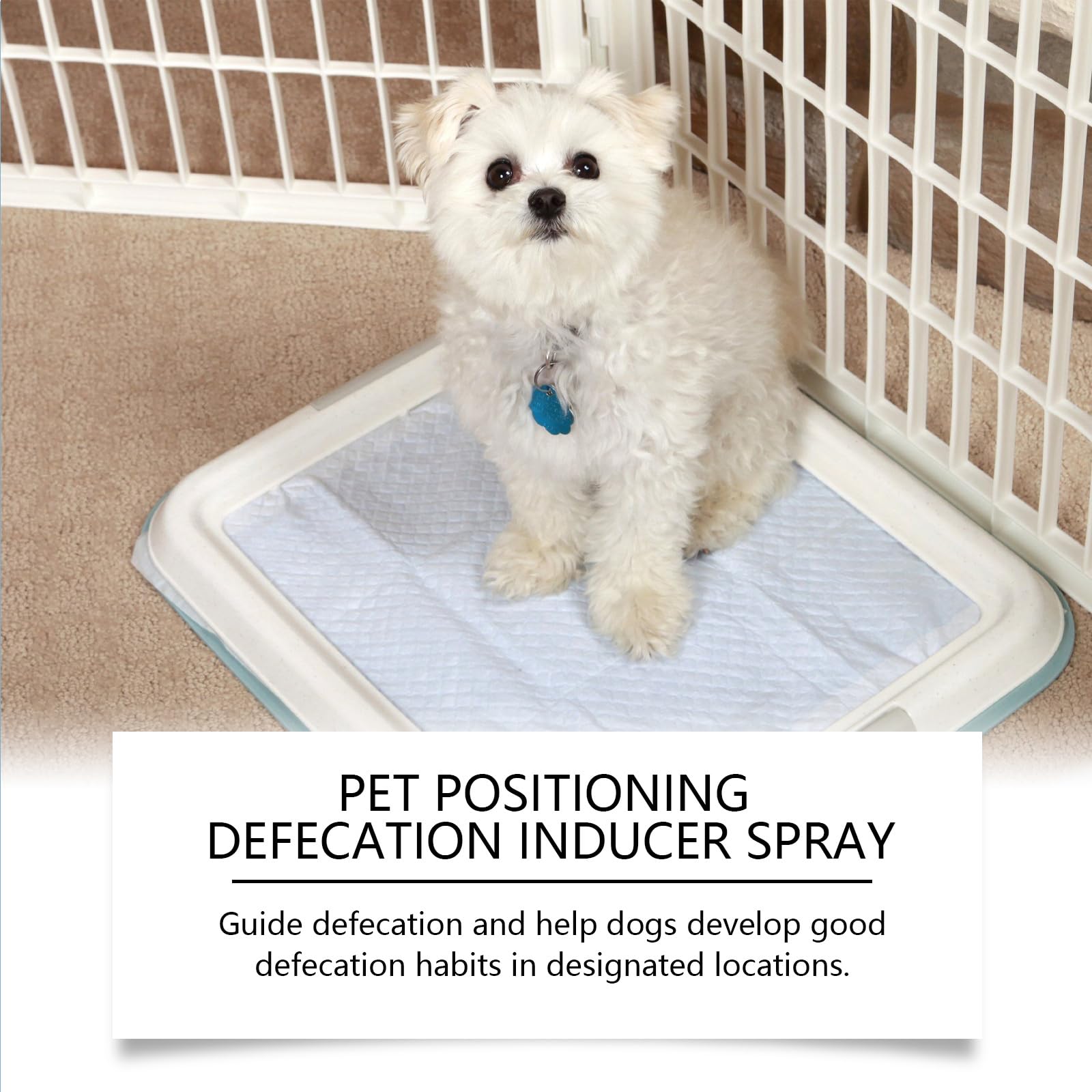 Spray pour Chien Propreté pour Animaux de Compagnie l'Intérieur et l'Extérieur,50ML,1PC,Spray Entraînement à la Propreté pour Chiens,Aide à l'Apprentissage