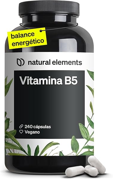 Natural Elements Vitamina B5 500mg 240 cápsulas