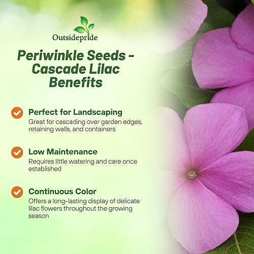 Miniatura 3 de Outsidepride Cascade Lilac - Semillas de bígaro para plantar, 25 unidades, anuales, de floración rápida, tolerantes al calor y a la sequía