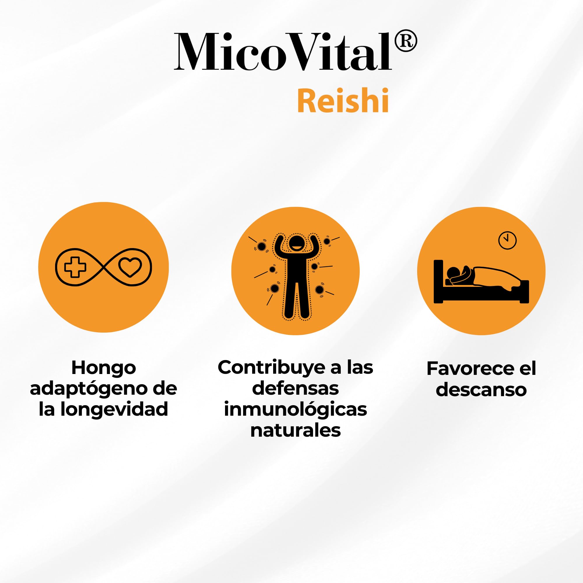 MicoVital® Reishi en Gotas - Hongo de la Longevidad - Antiaging - Inmunoestimulante Natural - Regulación Hormonal del Organismo - Favorece el Descanso - Reishi Líquido - 50 ml - 100% Natural