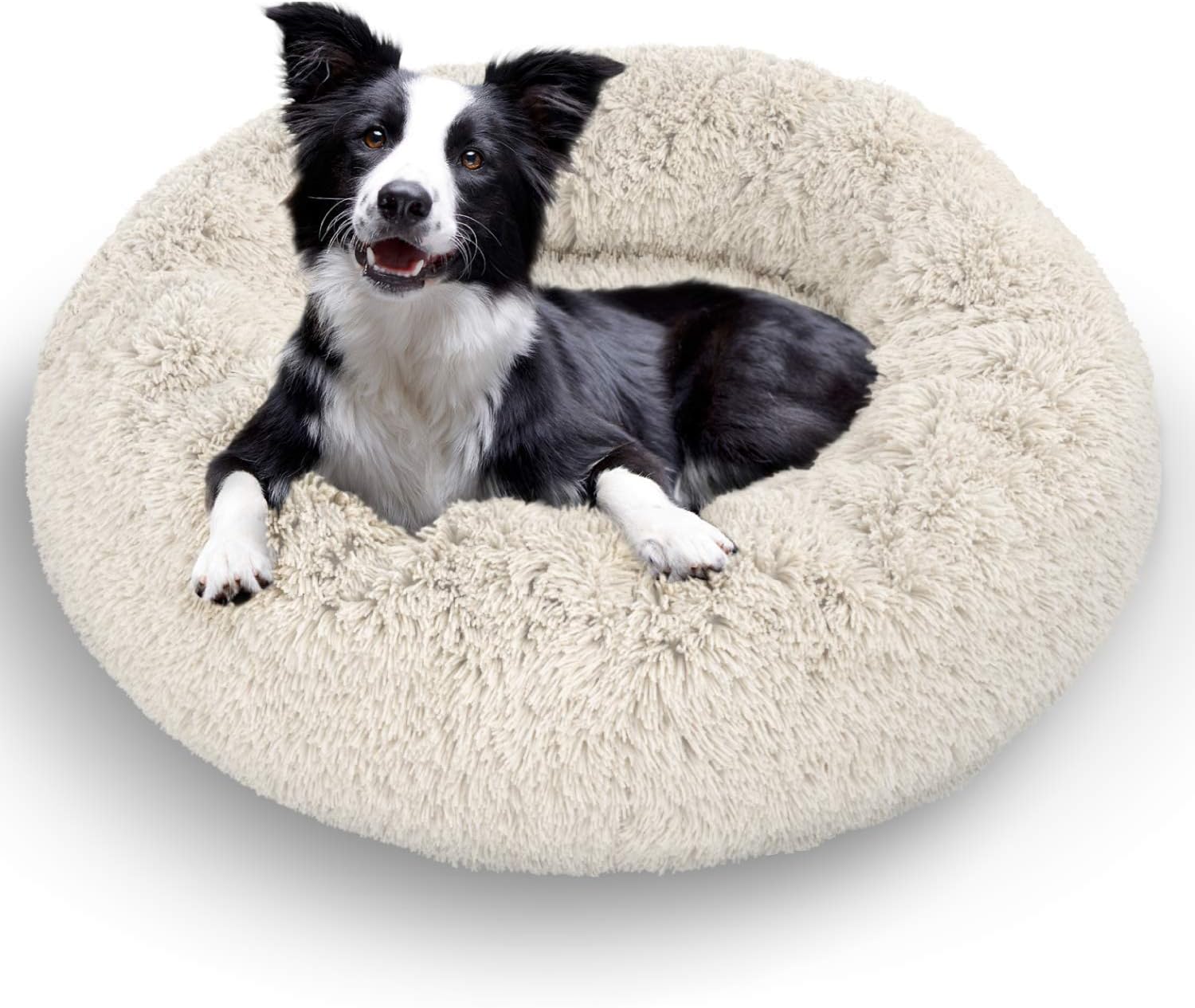 dog marshmallow bed