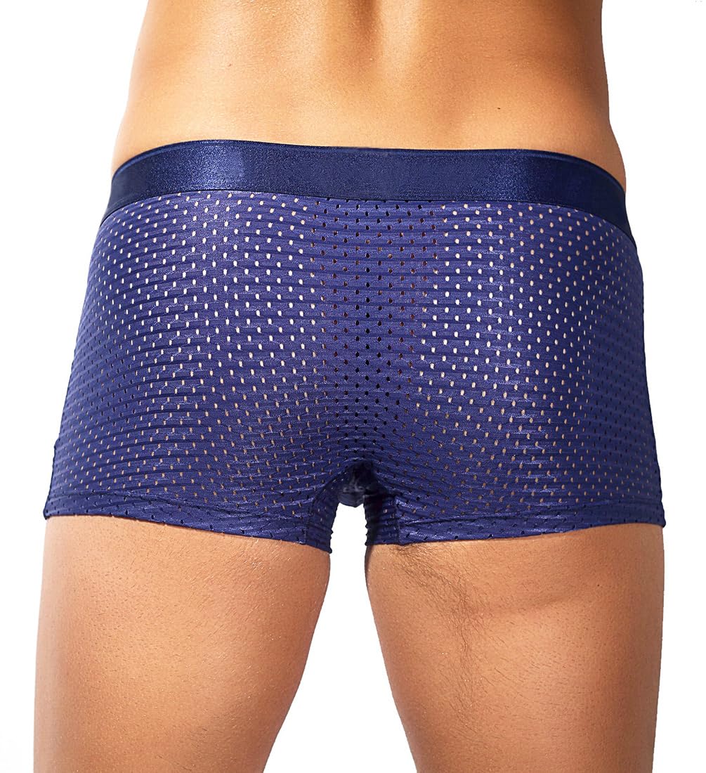 Herren Boxershorts Eisseide Mesh Unterwäsche Netz Transparent Sexy Retroshorts Atmungsaktive Boxer Shorts
