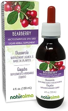 Naturalma Bearberry Arctostaphylos uva Ursi Leaf Alcohol-Free Tincture - 4 fl oz Liquid Extract in Drops - Herbal Supplement - Vegan