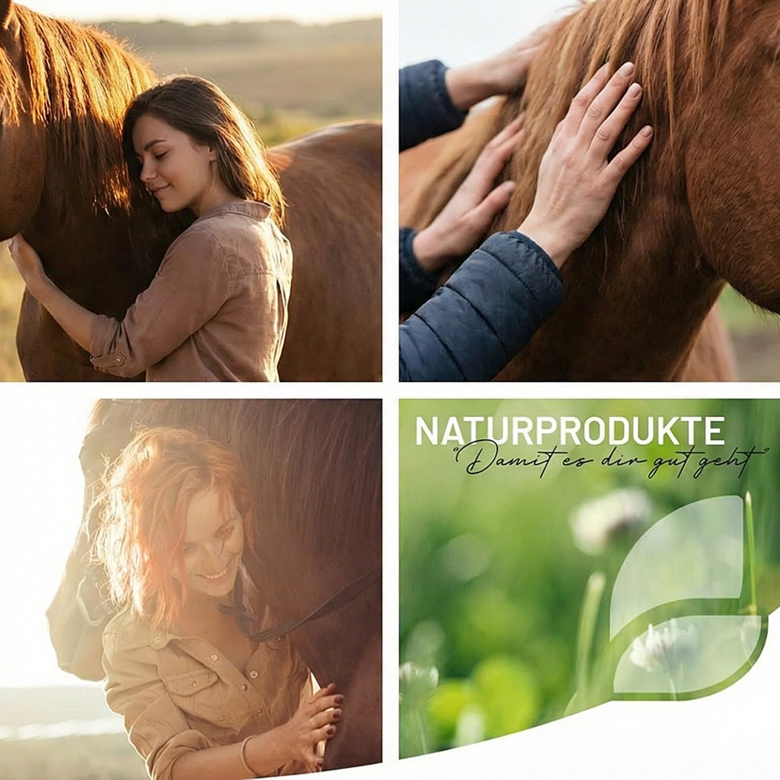 ReaVET Darm Prebiotic 1kg für Pferde zur Unterstützung der Darmflora & Verdauung - Magen Darm Pferd, Natürliche Darmkur, Getreidefreies Naturprodukt ohne Zusätze