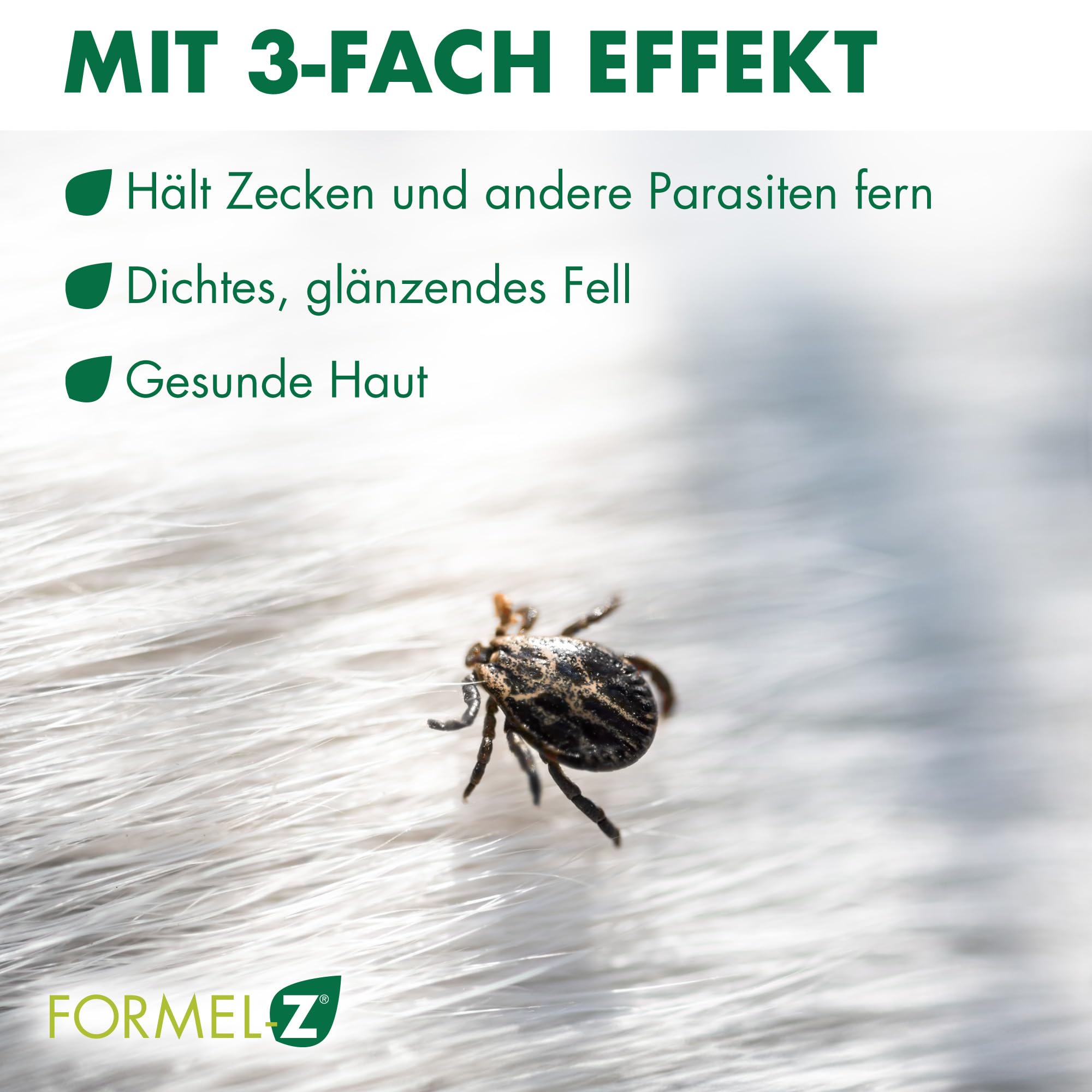 Biokanol Formel Z - Ergänzungsfuttermittel für Katzen 1 can