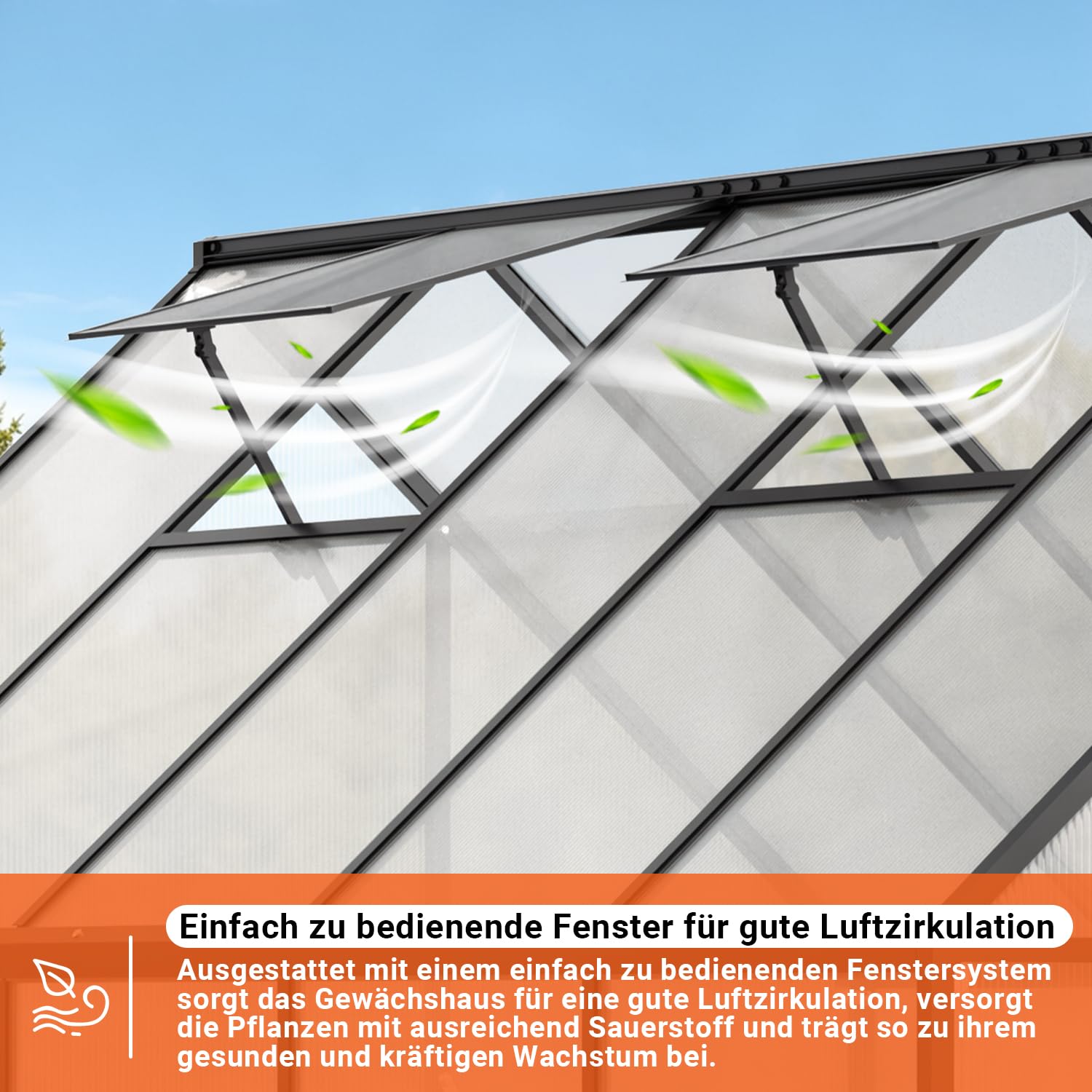 𝐉𝐚𝐱𝐠𝐮𝐨𝐦 Gewächshaus Aluminium 224 x 170 x 195 cm, 4 mm Polycarbonat-Hohlkammerplatten,mit Bodenrahmen & Dachfenster,Wetterbeständiges Tomatenhaus Treibhaus für Garten