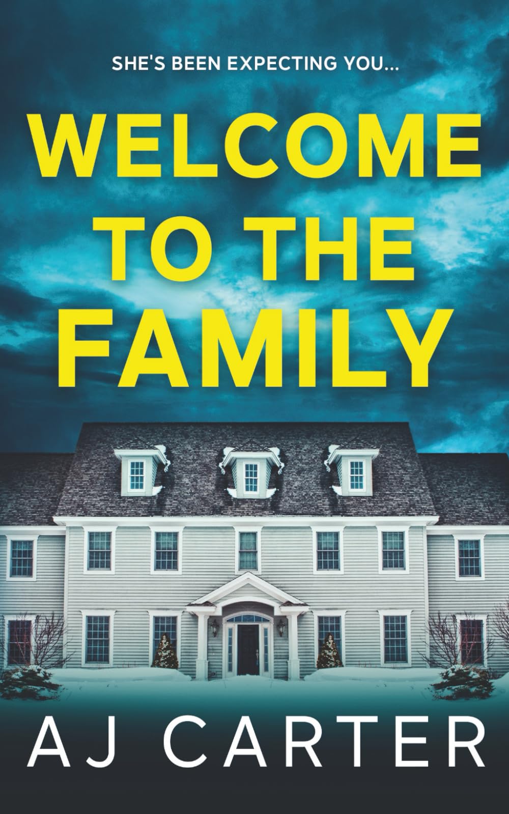Welcome to the Family (Standalone Psychological Thrillers)