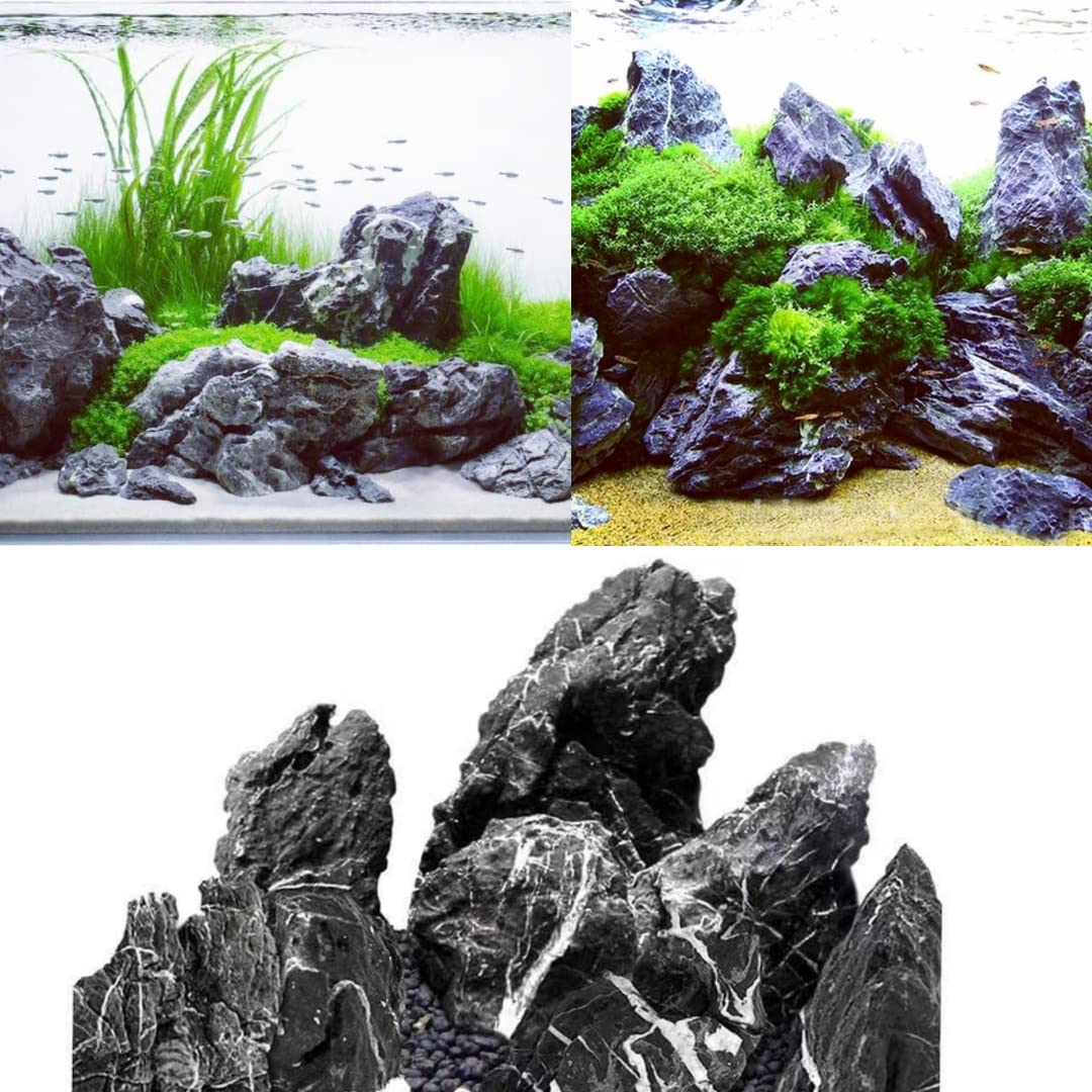 VAYINATO® Aquascaping Seiru Stone for Aquarium Fish Tank Natural Decoration (5 Kg) by Petzlifeworld (B09XK5661Y) Amazon Price History, Amazon Price Tracker
