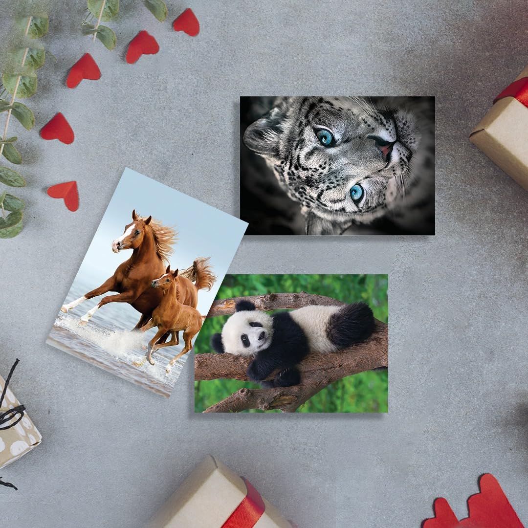 10 tarjetas de felicitación de animales surtidas para todas las ocasiones, 5 x 7 pulgadas (A7), plegadas, interior en blanco, león, caballos, cebras, delfines, pandas, koalas, osos