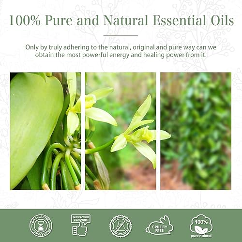 Miniatura 6 de Aceite esencial de vainilla, 1.01 onzas líquidas (1.0fl oz), aceite esencial puro de PHATOIL para difusores de aromaterapia, humidificadores,