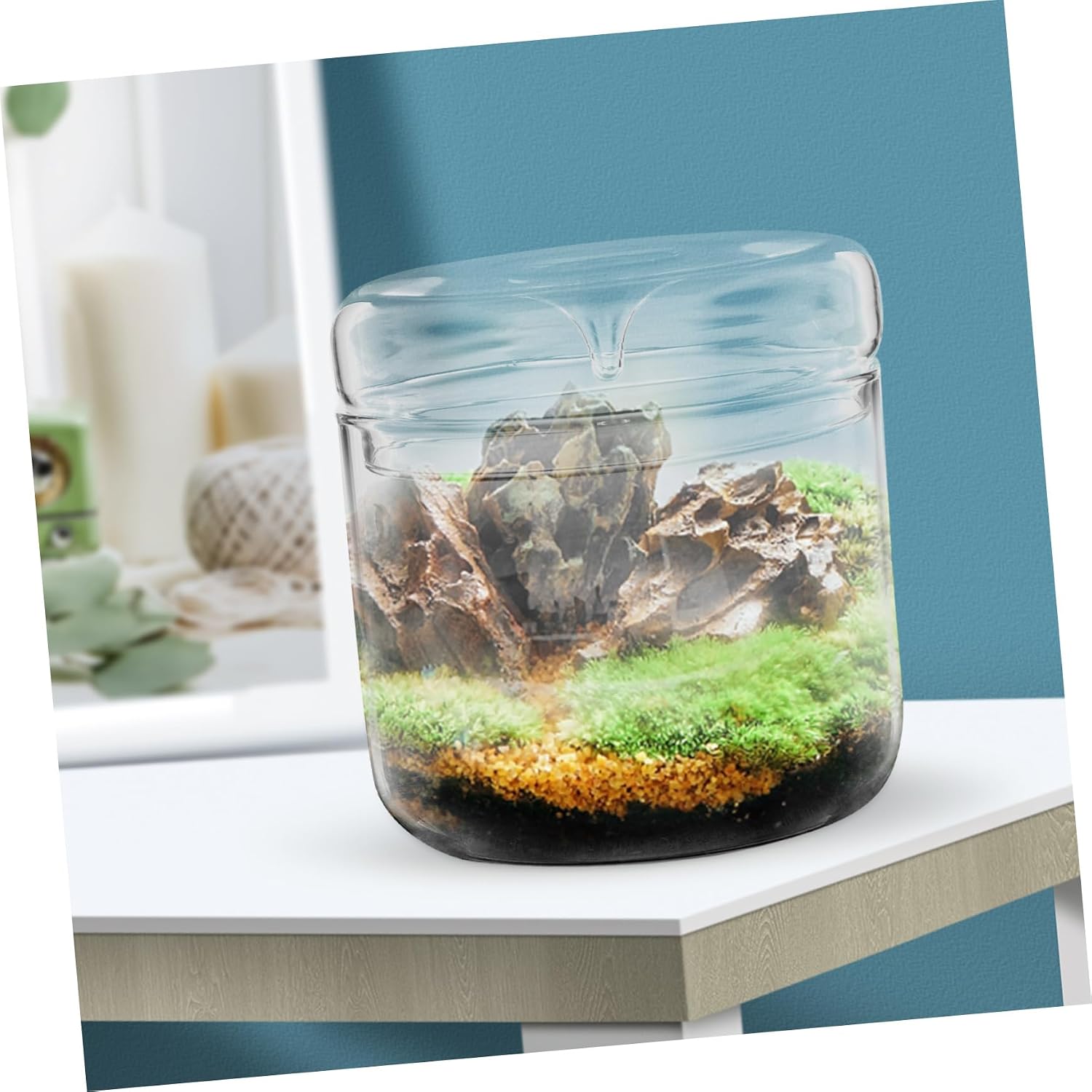 Moss Terrarium Glass Tabletop Micro-Landscape DIY Bottle Planter Garden Decor Unique Plant Holder