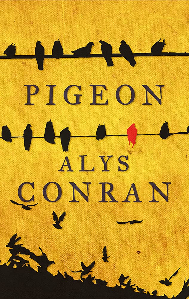 Pigeon by Alys Conran (Paperback, 2016)