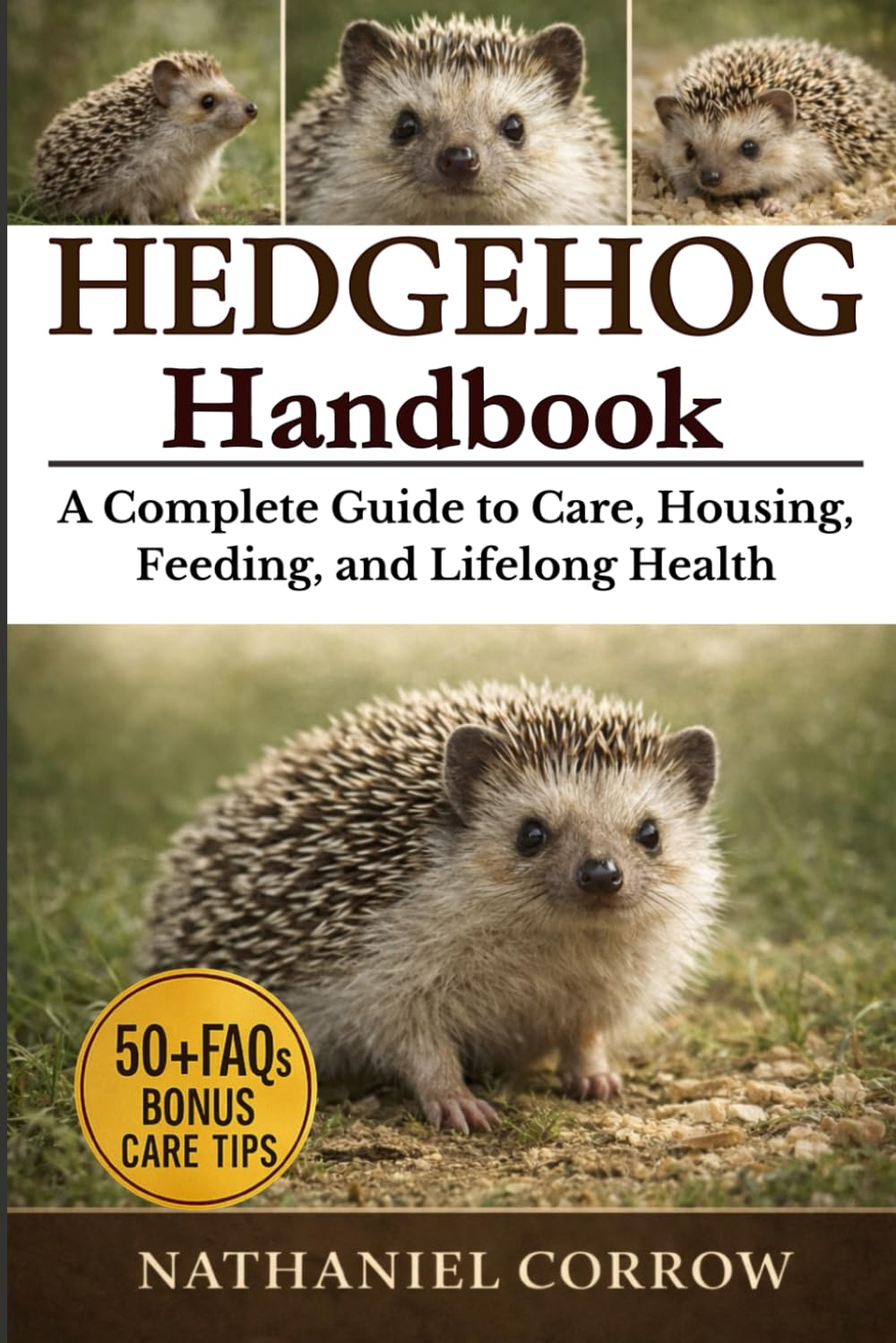 HEDGEHOG HANDBOOK: A Complete Guide to Care, Housing, Feeding, and Lifelong Health