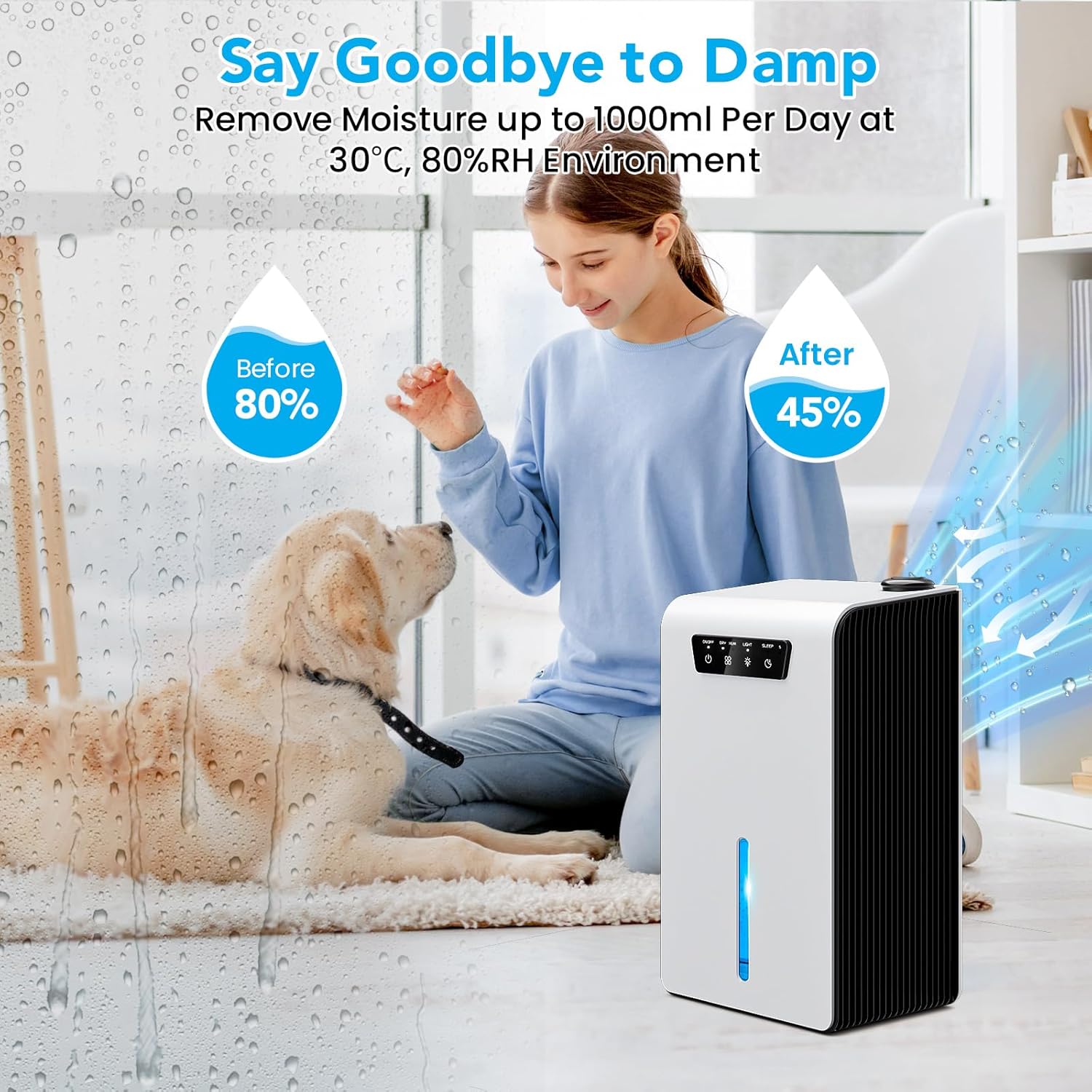 Foto del Deshumidificador