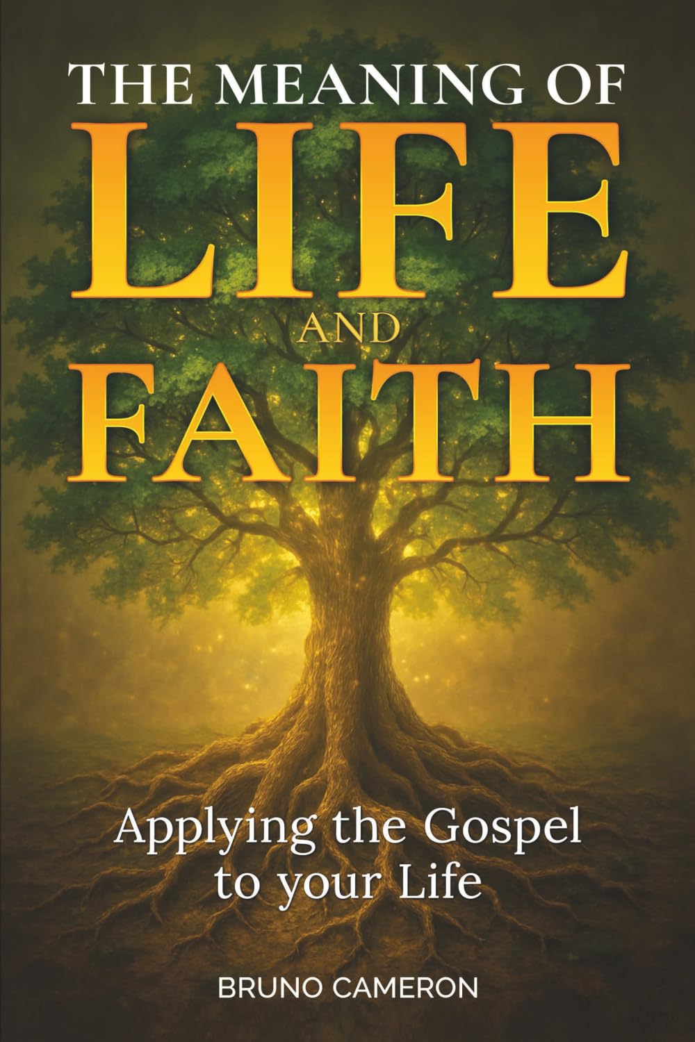 The Meaning of Life and Faith: Applying the Gospel to Your Life