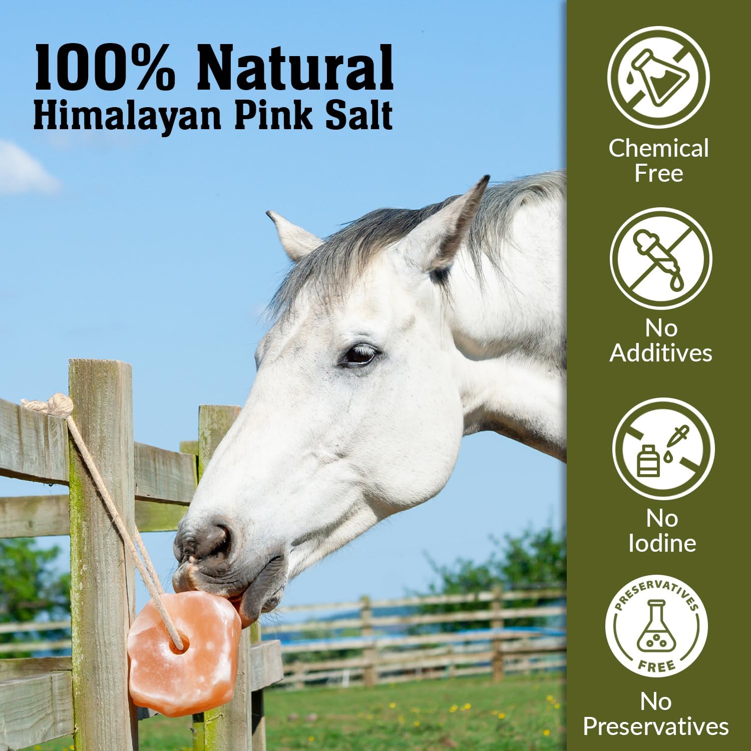 Salt Lick for All Animals – 100% Natural Pure Salt Rock for Horses, Rabbits, Cattle and Livestock – Long Lasting | Pack of 2
