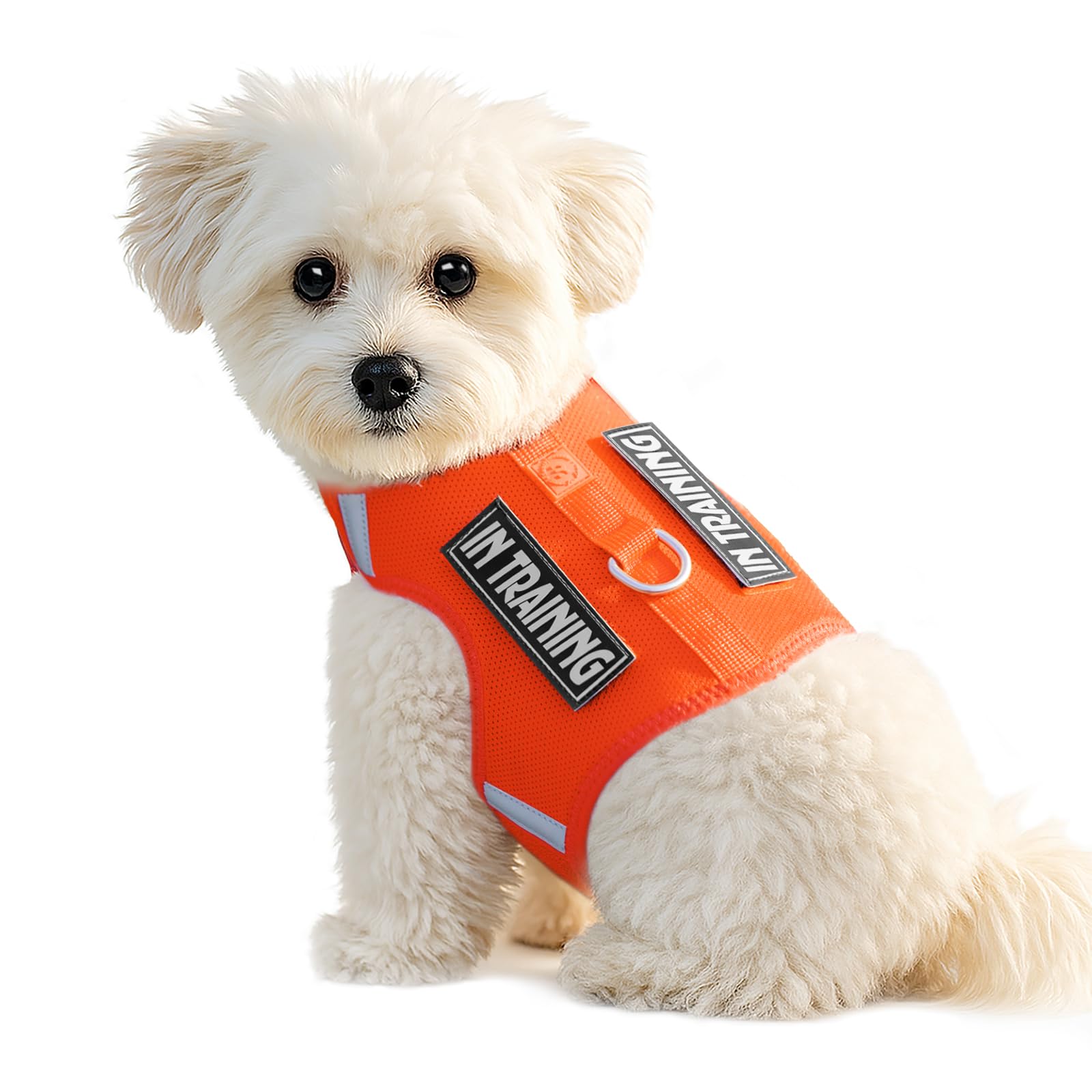 Sunraymascota Dog Harness for Puppy, Adjustable Size, Comfort Soft Vest for Small Dogs, Reflective Design with 2 Patches，Lightweight Breathable Dog Walking and Training (Orange,XS)
