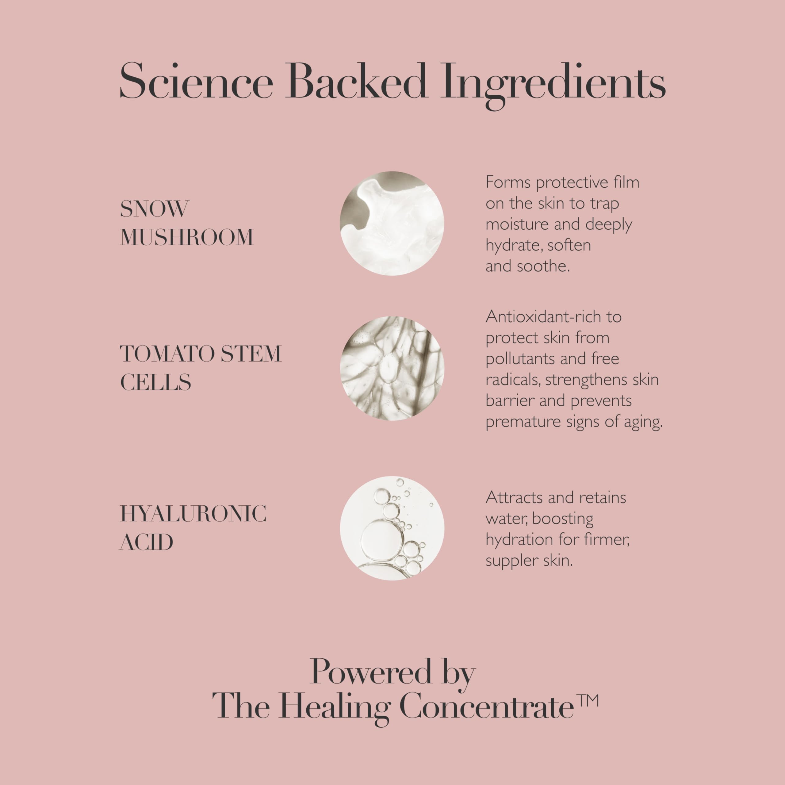 Omorovicza Queen Essence (3.4 oz), Hydrating Face Mist, Pre-Serum Skin Booster with Snow Mushroom, Tomato Stem Cells & Hyaluronic Acid to Plump, Protect & Prep Skin