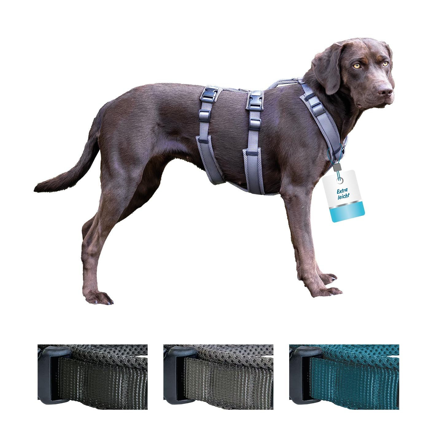 Petlando Sicherheitsgeschirr, ausbruchsicheres Hundegeschirr mit extra Bauchgurt, weich gepolstert mit Mesh, atmungsaktiv, robust, stufenlos verstellbar, Geschirr für große Hunde, Schwarz, L