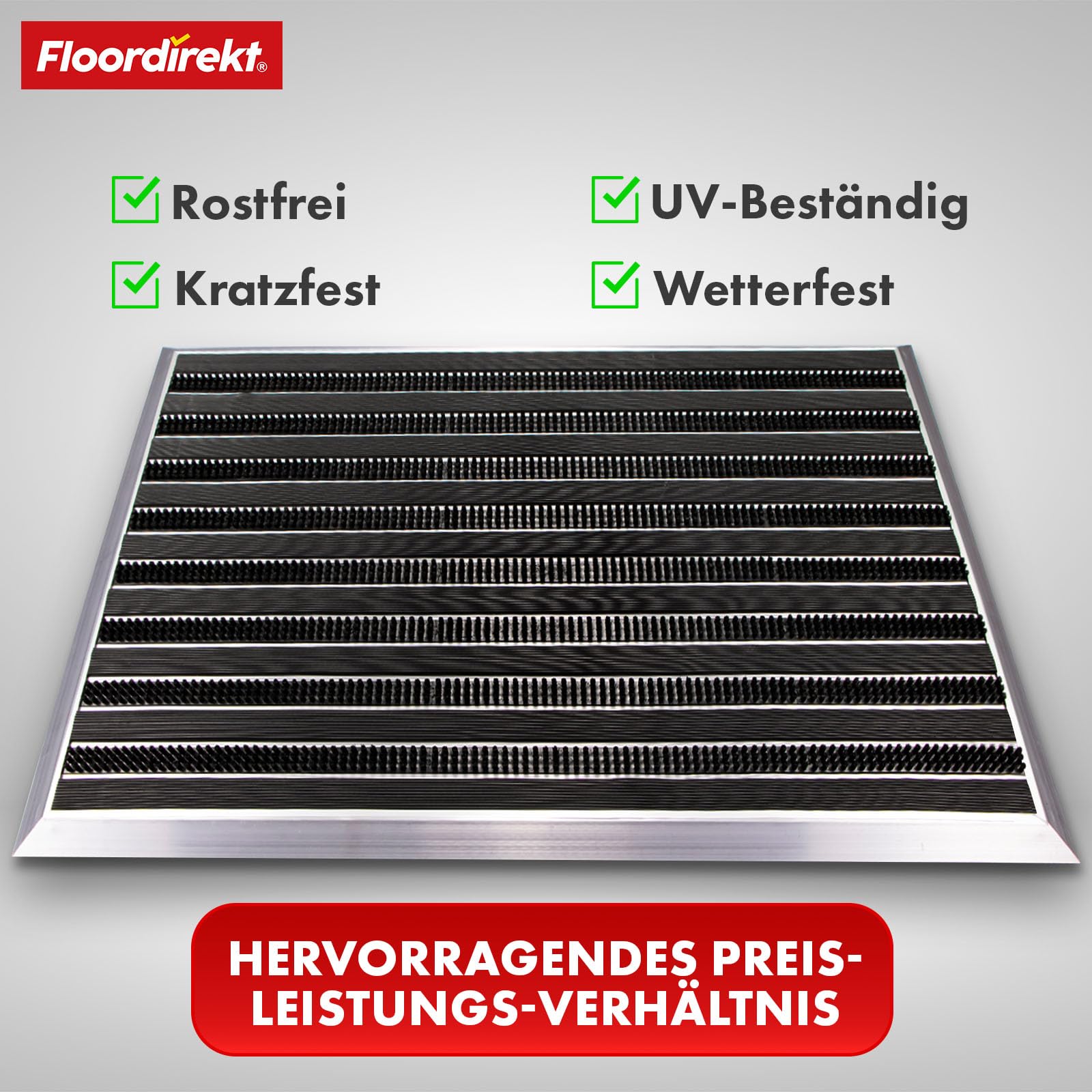 Floordirekt Fussabtreter Aussenbereich „Spectral“ für innen & außen - rostfrei & wetterfest - Haustür Fußabtreter - Türmatte Eingangsmatte (PVC/Bürste.68 x 98 cm)