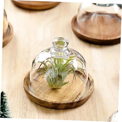 Miniatura 4 de 2 juegos de tazas de postre de madera en miniatura, tapas de postre, tapa de soporte de pastel de luna, recipientes para pasteles con tapas, paleta