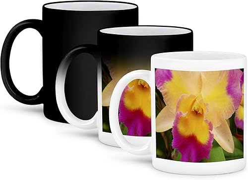 3dRose Florene Flores – Gorgeous Orquídea – Tazas, Negro/Blanco