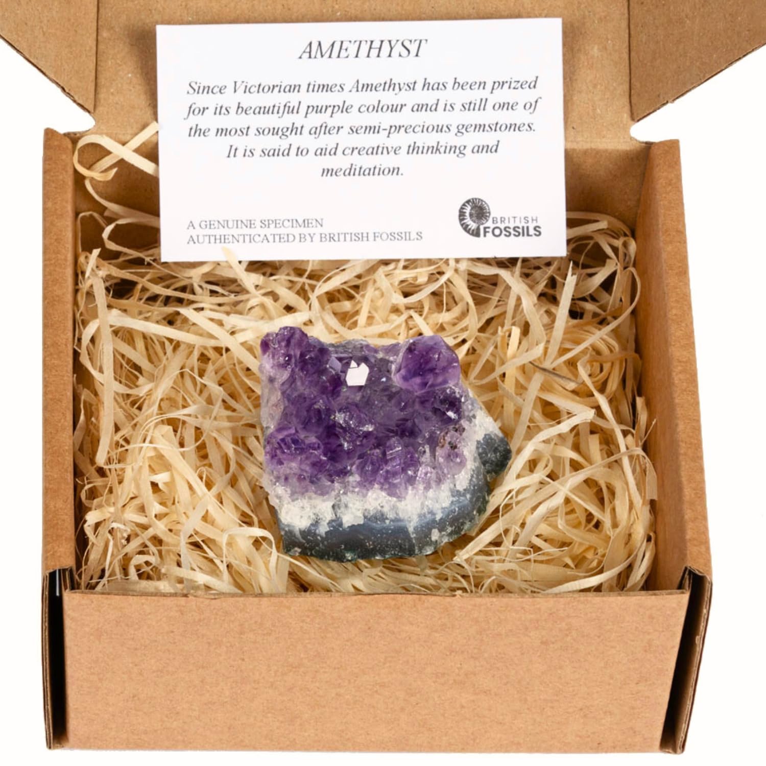 British Fossils Amethyst Gift Boxed Mini Druze – Genuine Brazilian Crystal Cluster With Info Card – Natural Quartz Druze Gift