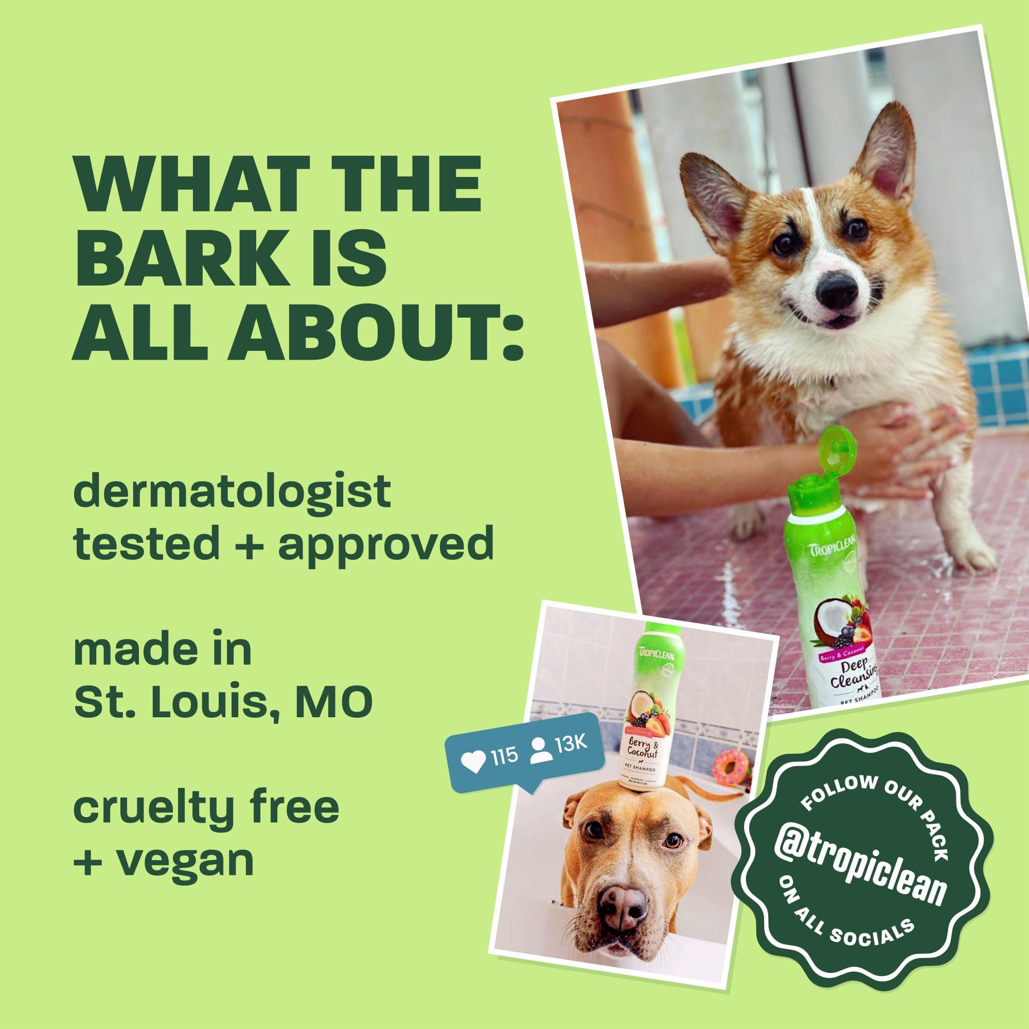 TropiClean Dog Ear Cleaner, Vet Recommended Ear Cleaning Solution for Itch Relief, Daily Use Drops Prevent Infection, Cat Safe, USA Made, 4oz - image 5