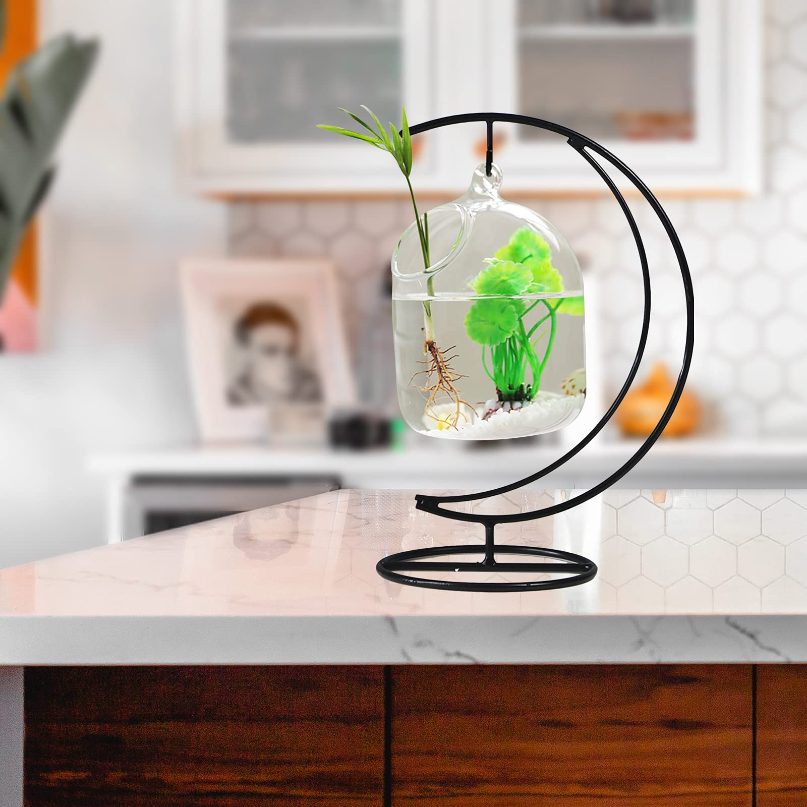 Pecera Colgante, Pecera de Cristal de Mesa Pequeña, Mini Acuario con Soporte, Pecera Colgante de Escritorio con Soporte, Terrario de Plantas Transparente para el Hogar, Mesa, Oficina, Jardín,(A2)