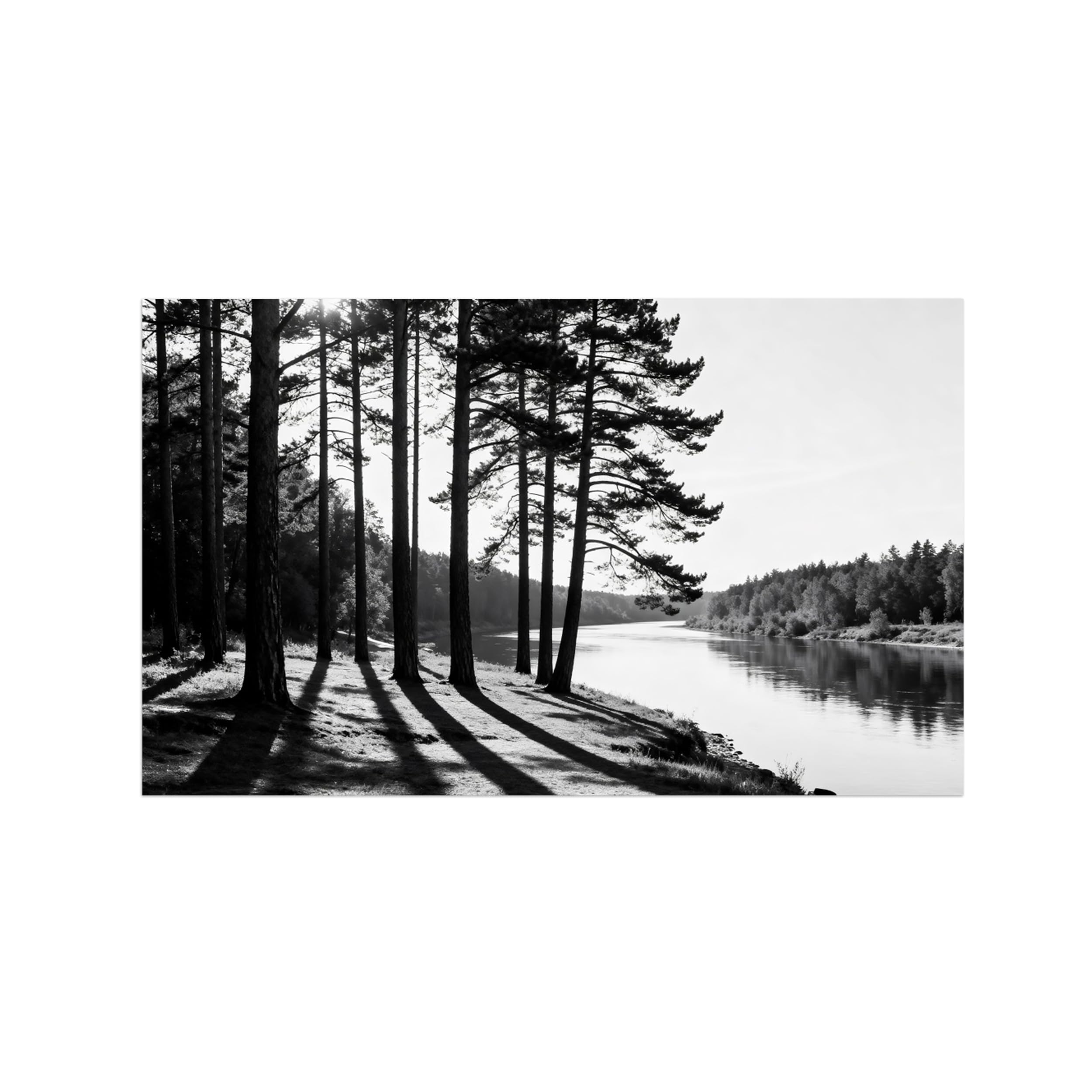 Lake Tree No.5 Black White Landscape Wall Art Prints 50x85cm Unframed