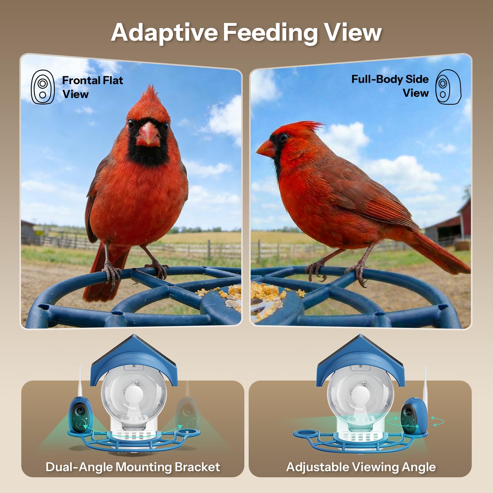 Smart Bird Feeder mit Kamera – 2K HD Smart Bird Feeder, solarbetriebenes Vogelhaus für den Außenbereich mit leicht zu reinigendem Design für Hinterhofvogel & Wildtier-Vogelbeobachtung