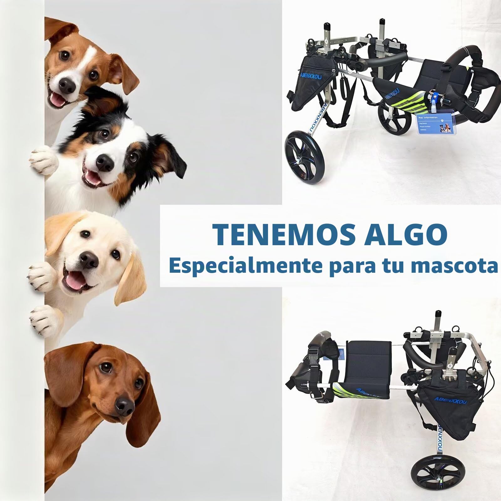 Silla de Ruedas para Perros Mediana y Grande, silla de ruedas para perros para patas traseras, ajustable ayuda silla ruedas perro mascotas (M)