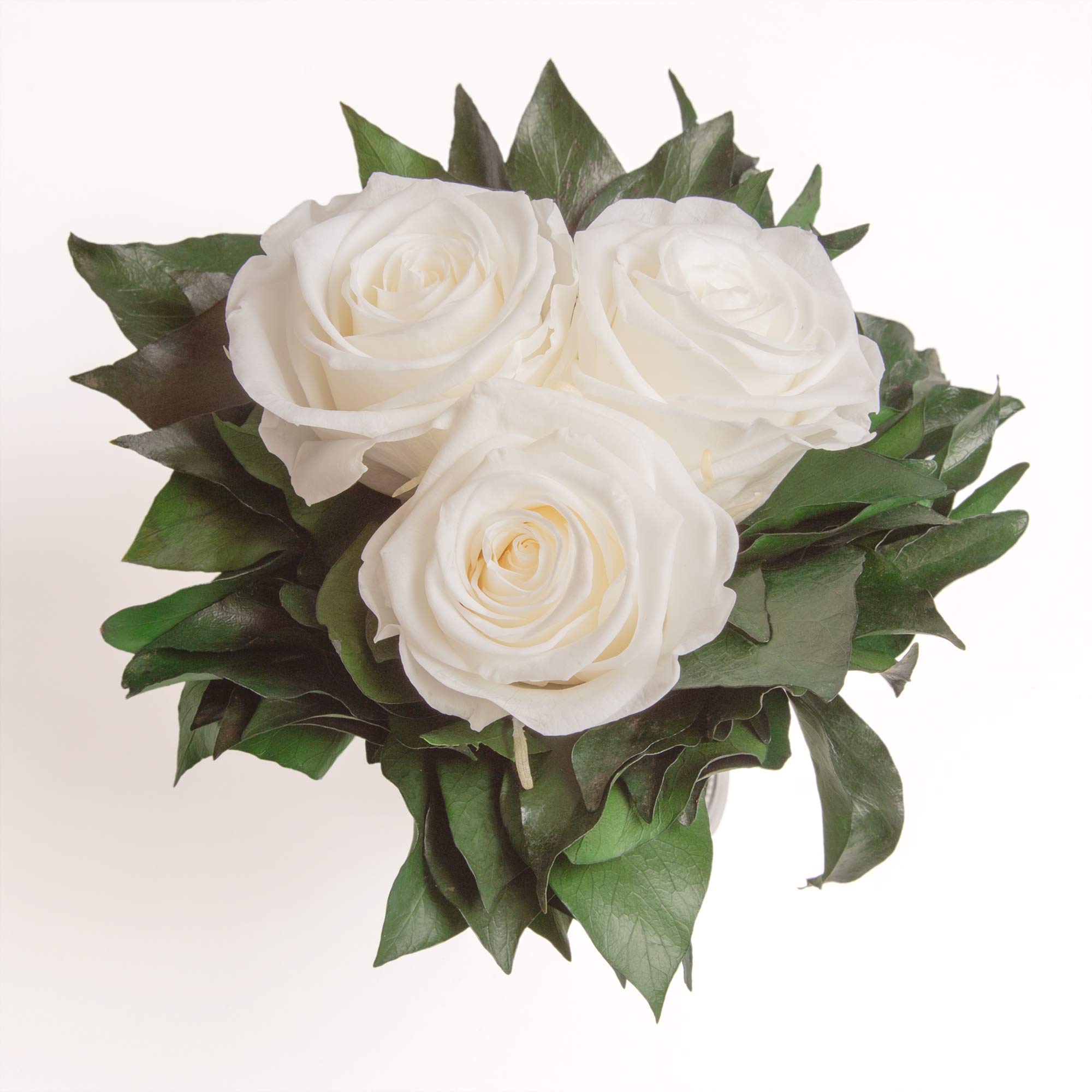 Infinity Blumen in silberfarbenen Becher 3 ewige Rose konserviert weiße Blumendeko Tisch (Weiss, 3 Rosen)