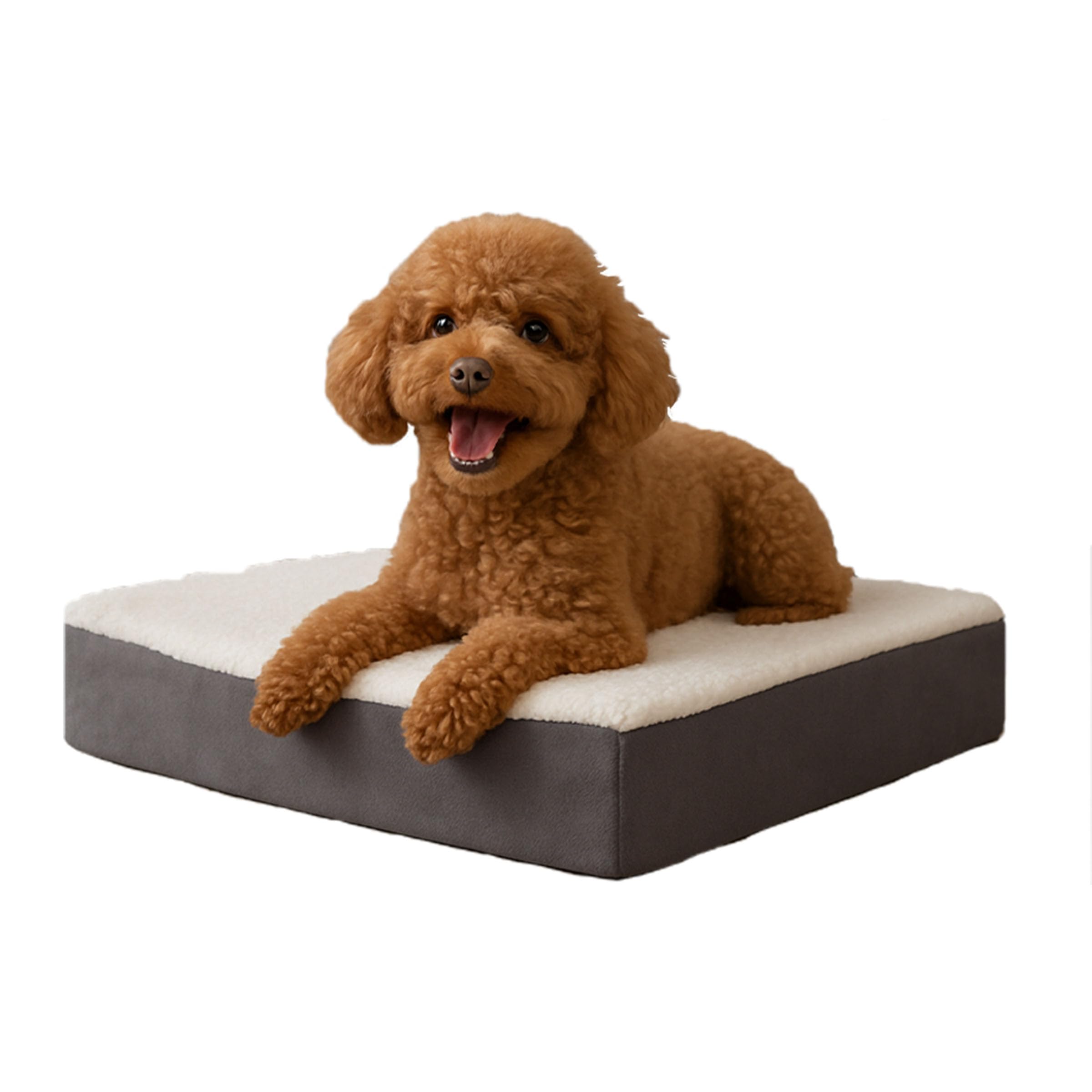 Orthopedic Dog Bed – 2-Layer Memory Foam Dog Bed With Machine Washable Sherpa Cover – 20X15 Dog Bed For Small Dogs Up To 20Lbs (Tan)