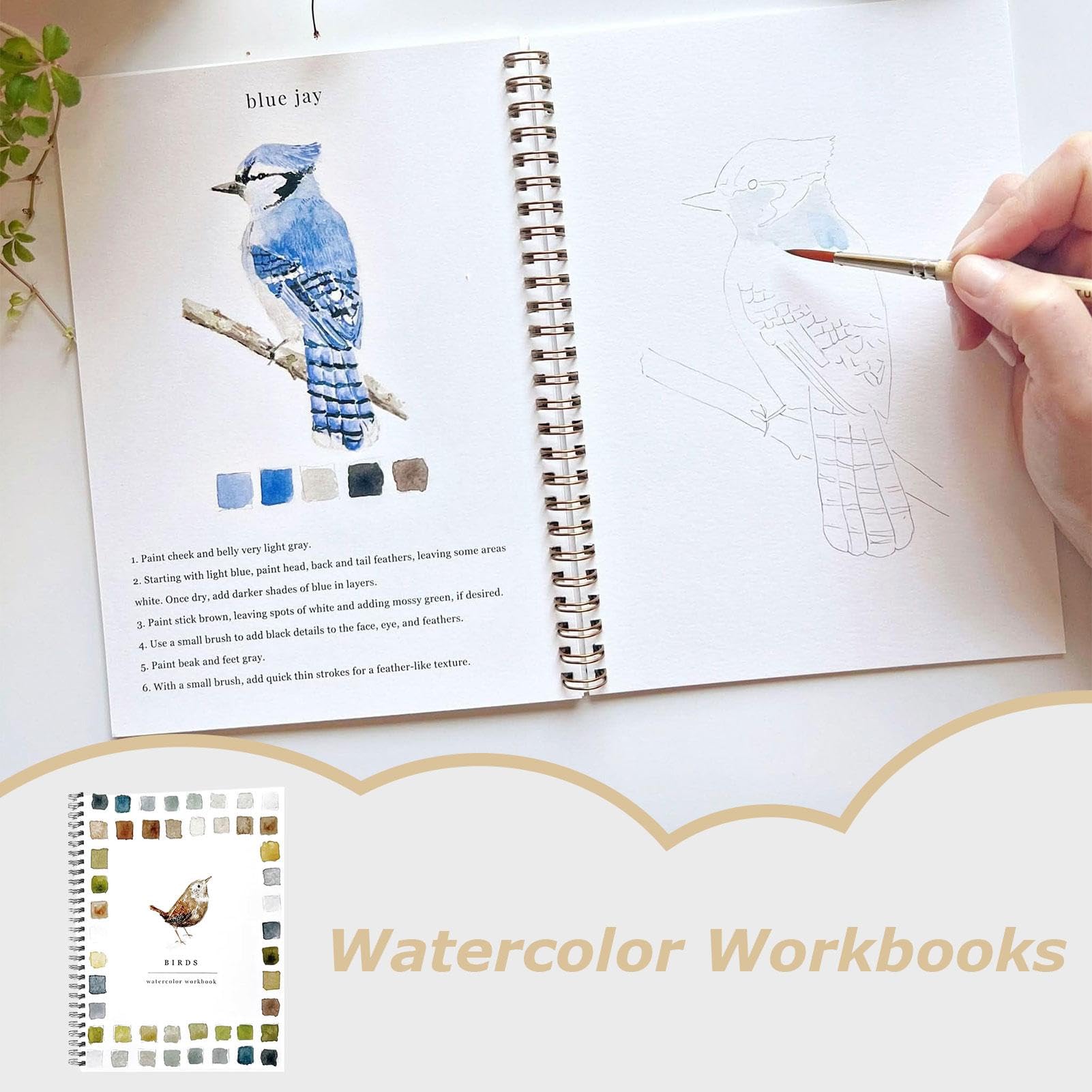 Cahier D'exercices Pour Aquarelle, Adapté Aux Débutants