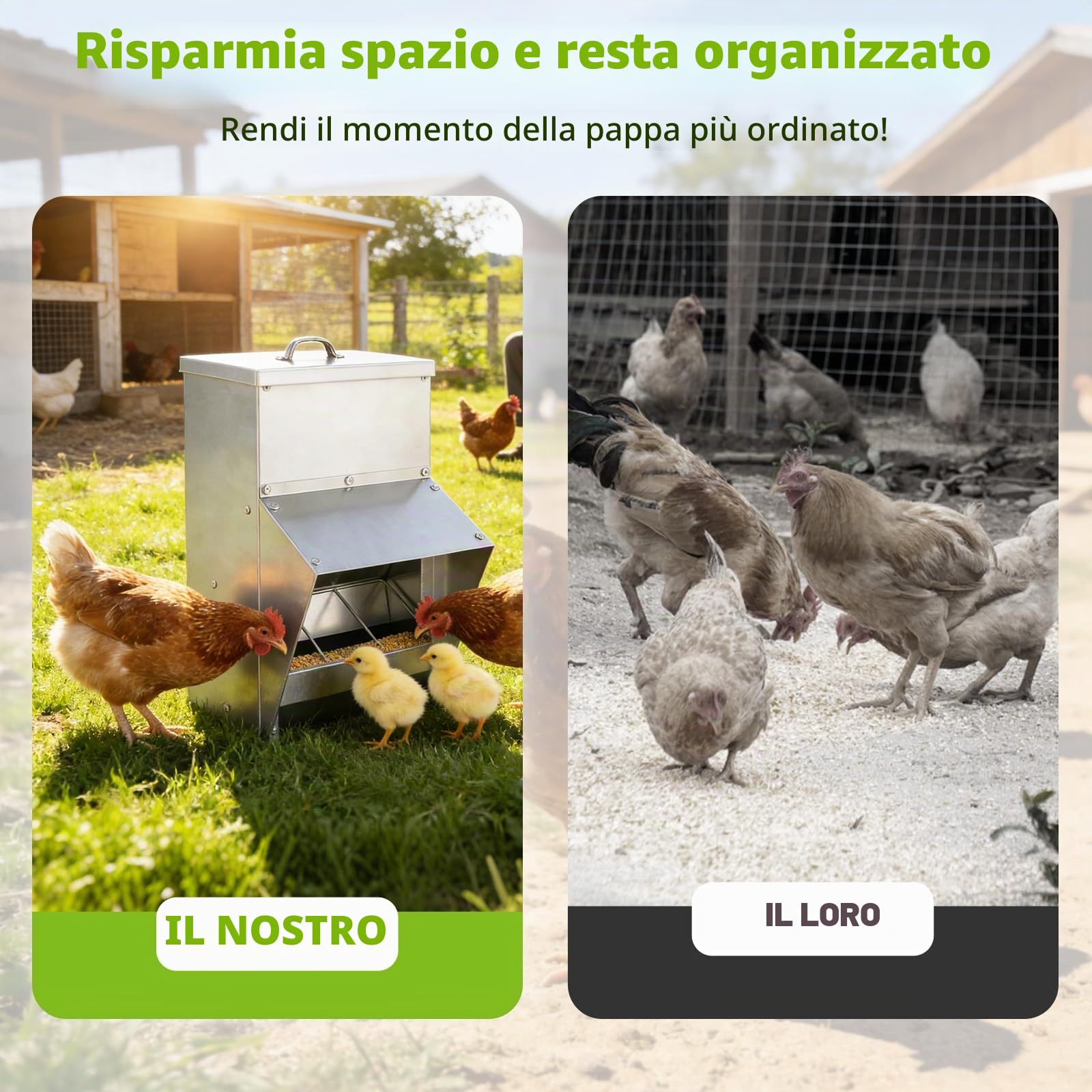 BAOSHISHAN Mangiatoia automatica per polli | Mangiatoia a muro 10 kg con coperchio per polli, anatre e oche