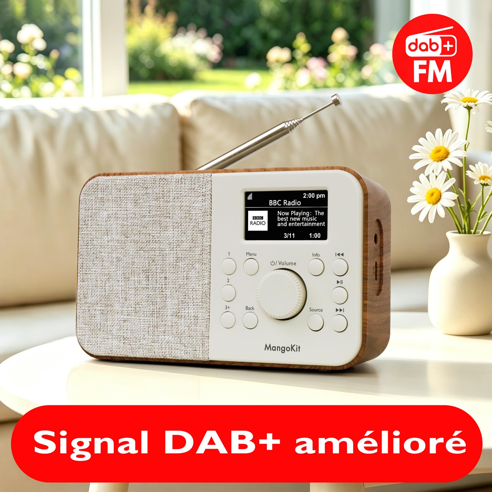 PR2S Pro Radio Rechargeable Dab+, Bluetooth, Écran Couleur, Noyer
