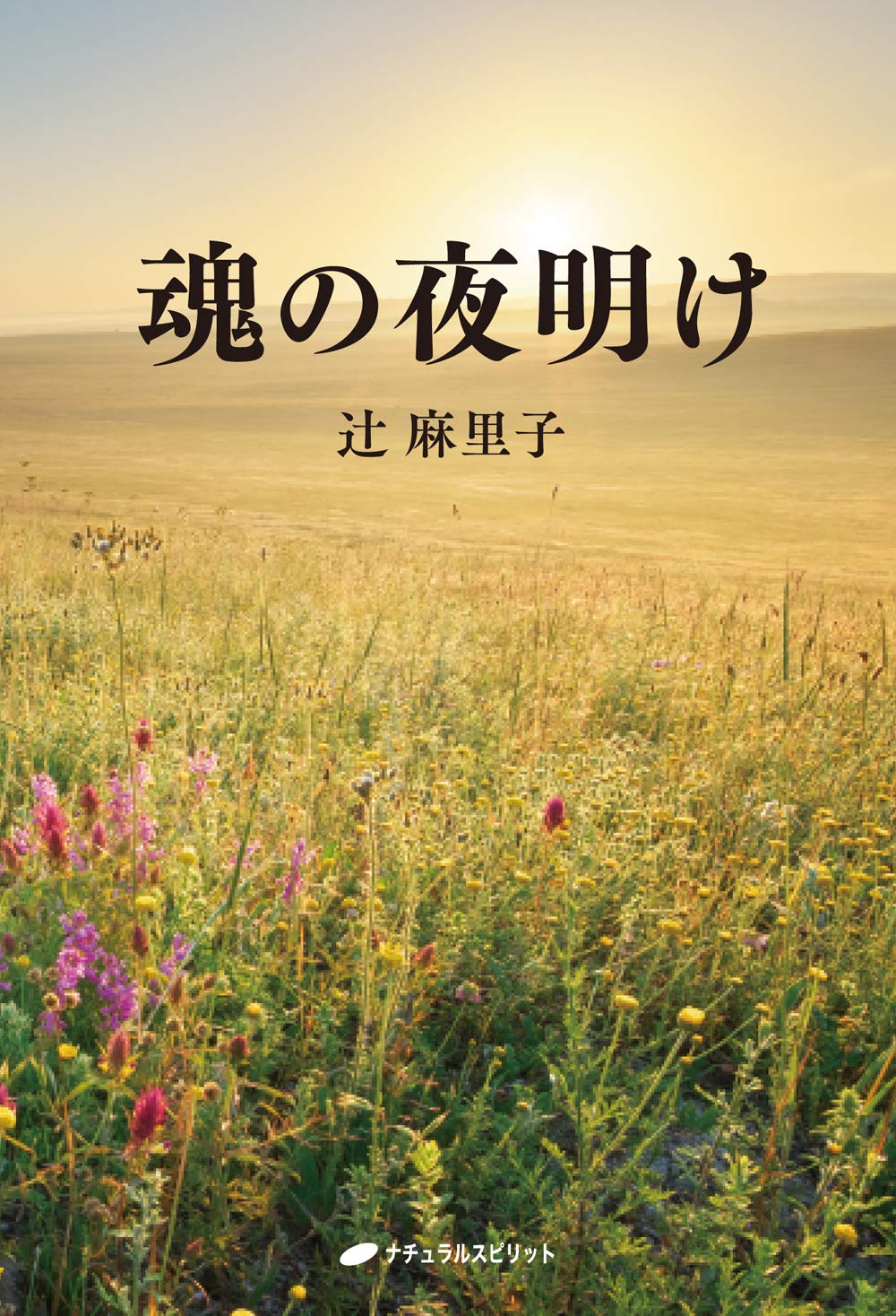 Amazon.co.jp: 辻 麻里子: 本、バイオグラフィー、最新アップデート