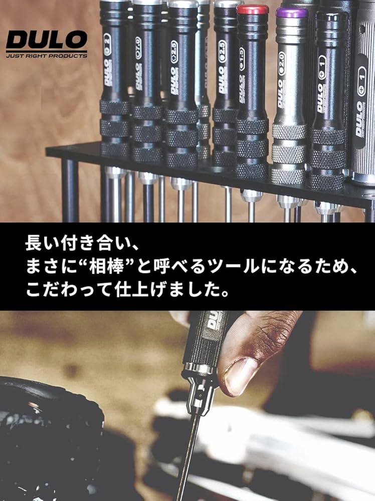 RAYWOOD DULO タガネ5本セット(スタンド付) DULO グリップ付きタガネ 【 タングステンブレードPRO】5本