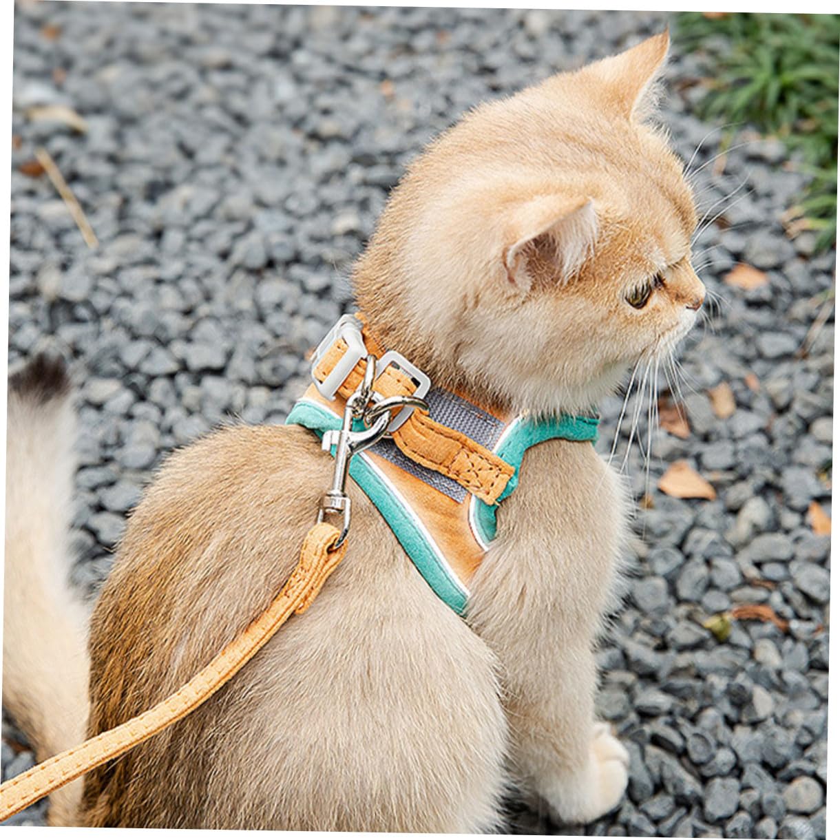 VANZACK 3sätze Katzen Geschirr Mit Für Haustiere Einstellbar Und Ausbruchsicher Reflektierendes Design Für Sicheres Für Kätzchen Und Kleine Hunde