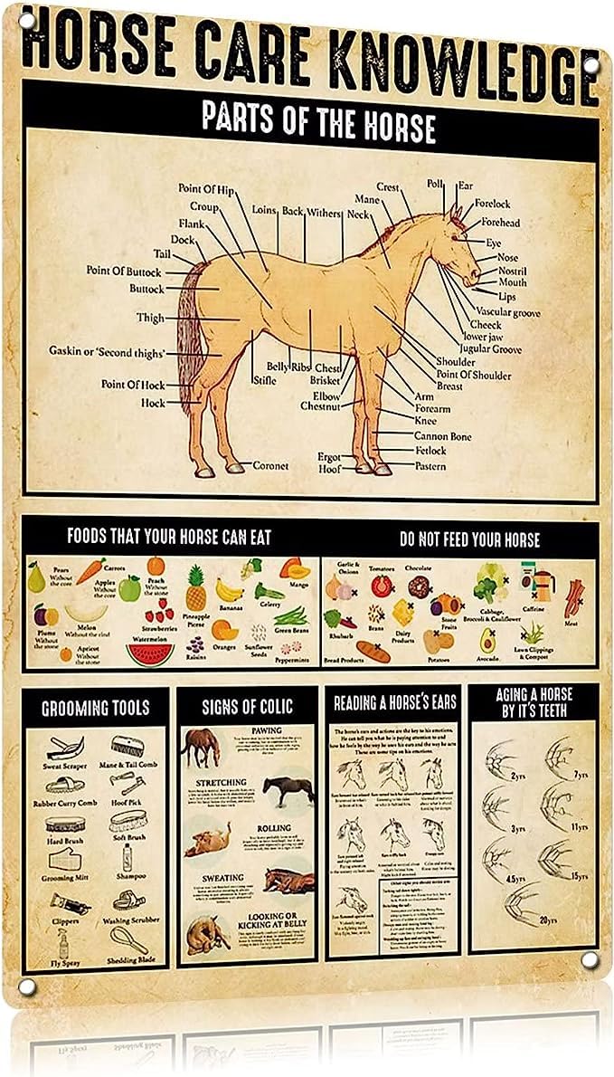 Retro Knowledge Metal Sign Vintage Kitchen Signs Wall Decor Home Decor Horse Care Knowledge Tin Signs Study Knowledge Funny Signs for Kitchen Home Office Bar Cafe Decor 8x12 Inch