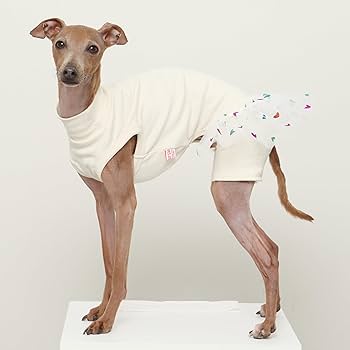 Amazon | D DOGGY STAR イタグレ服 チュチュ レギンス