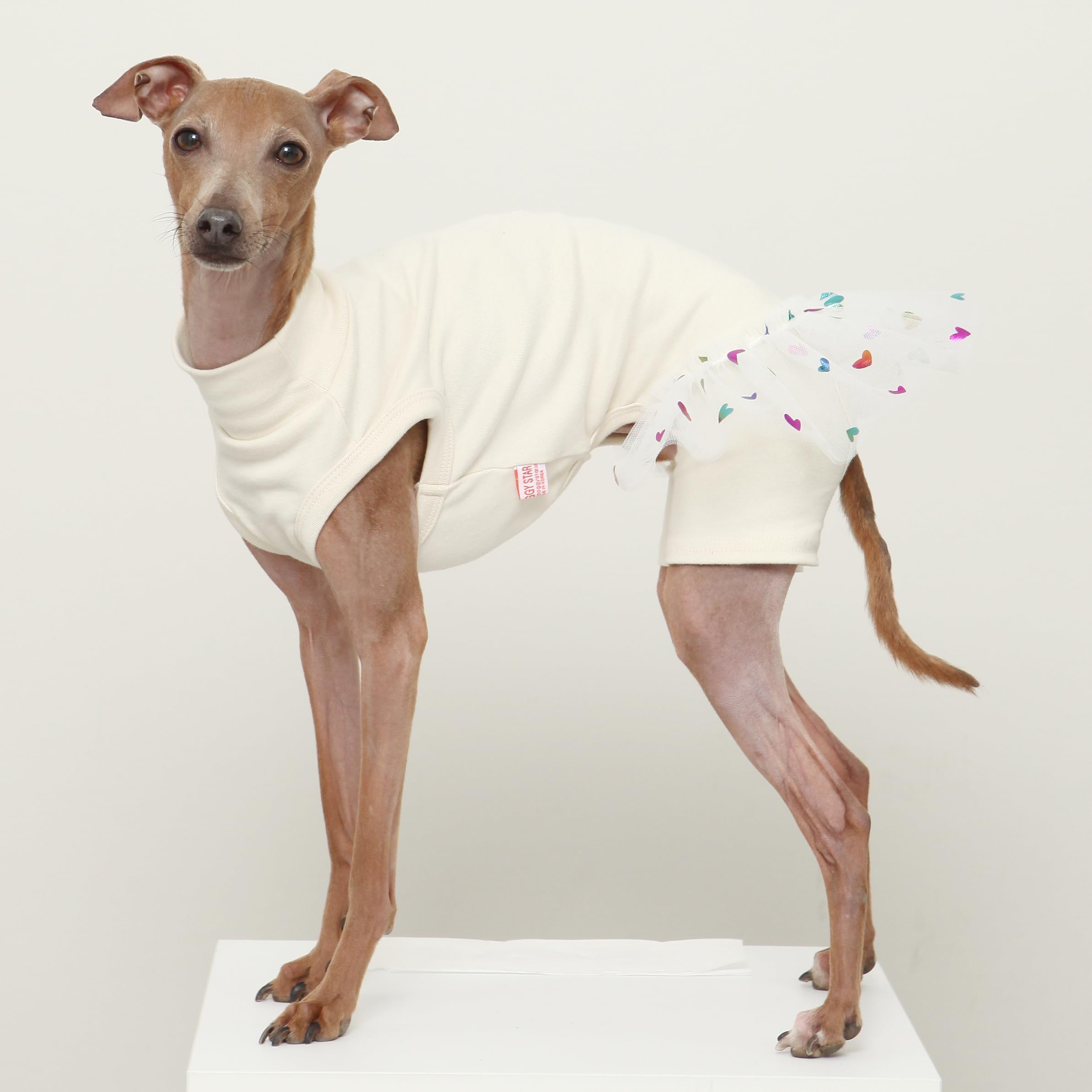 Amazon | D DOGGY STAR イタグレ服 チュチュ レギンス ワンピース 小型