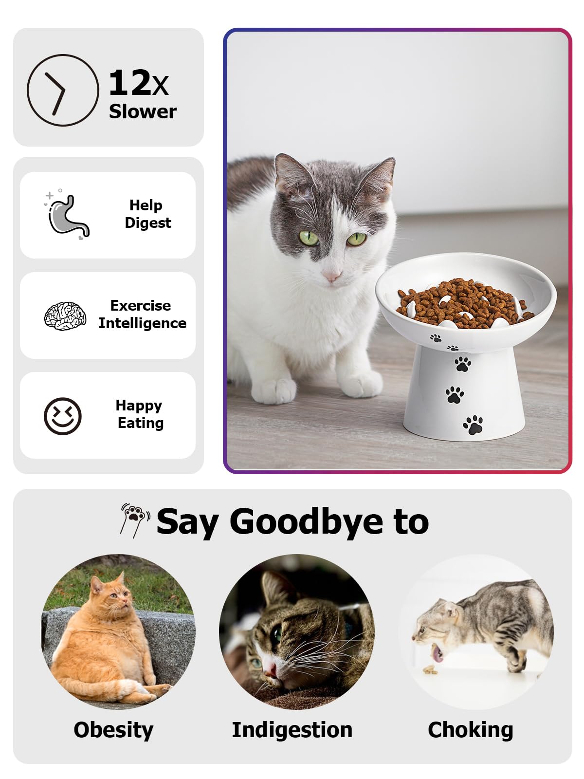 Y YHY Mangeoire lente pour chat, 15,2 cm, gamelle surélevée pour chien, gamelle anti-vomissements en céramique pour nourriture sèche et humide, blanc