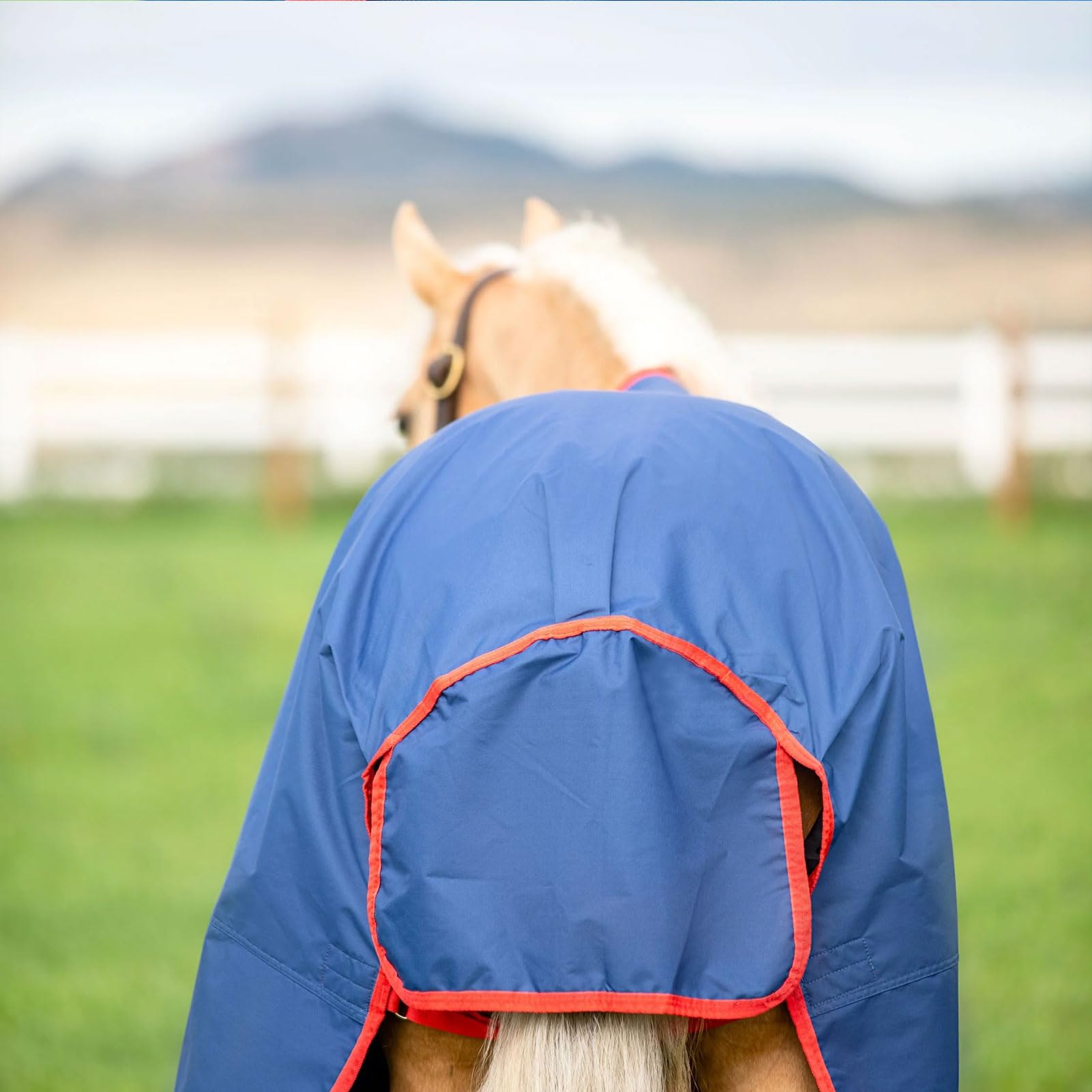 Horseware Amigo Mio Turnout lite Dark Blue red Gr. wählbar