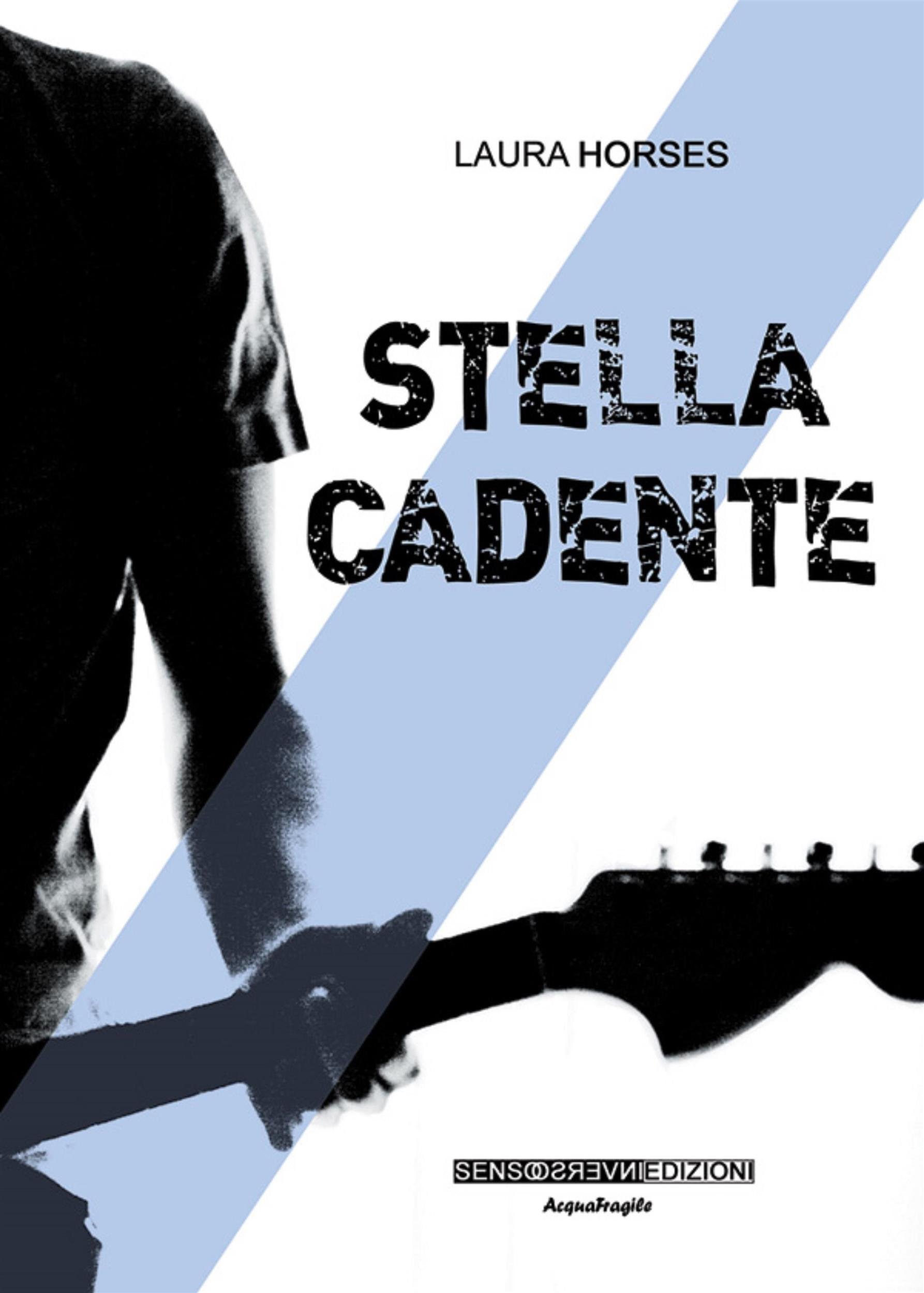 Stella cadente (Italian Edition)
